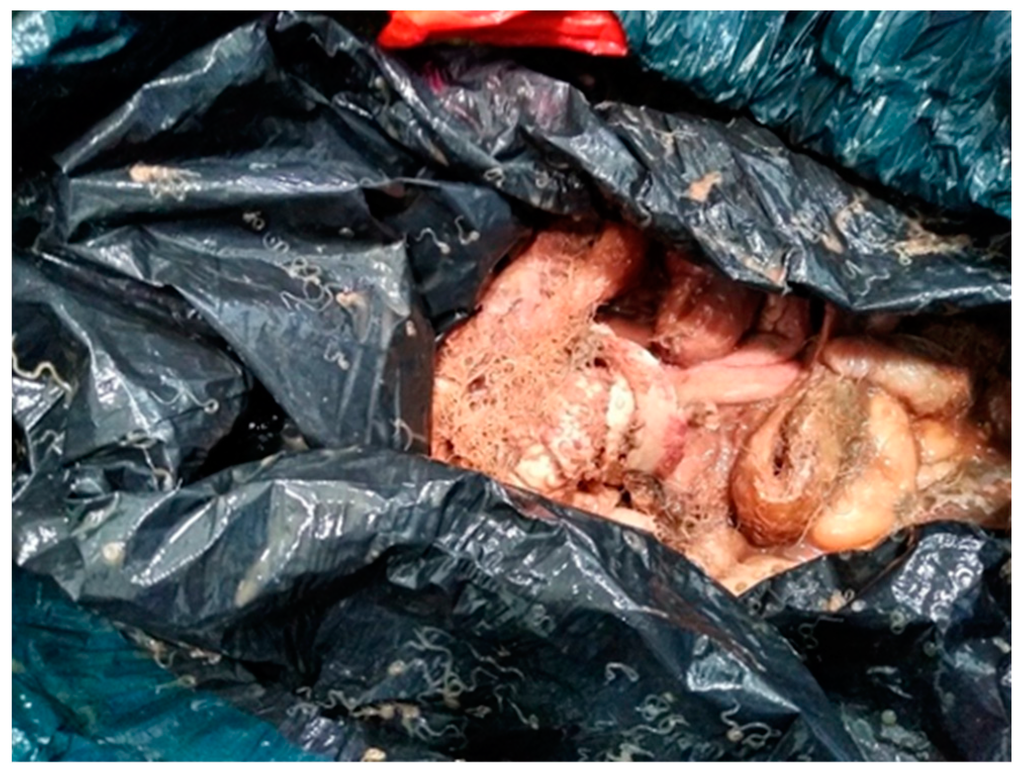 Applsci 14 10650 g001