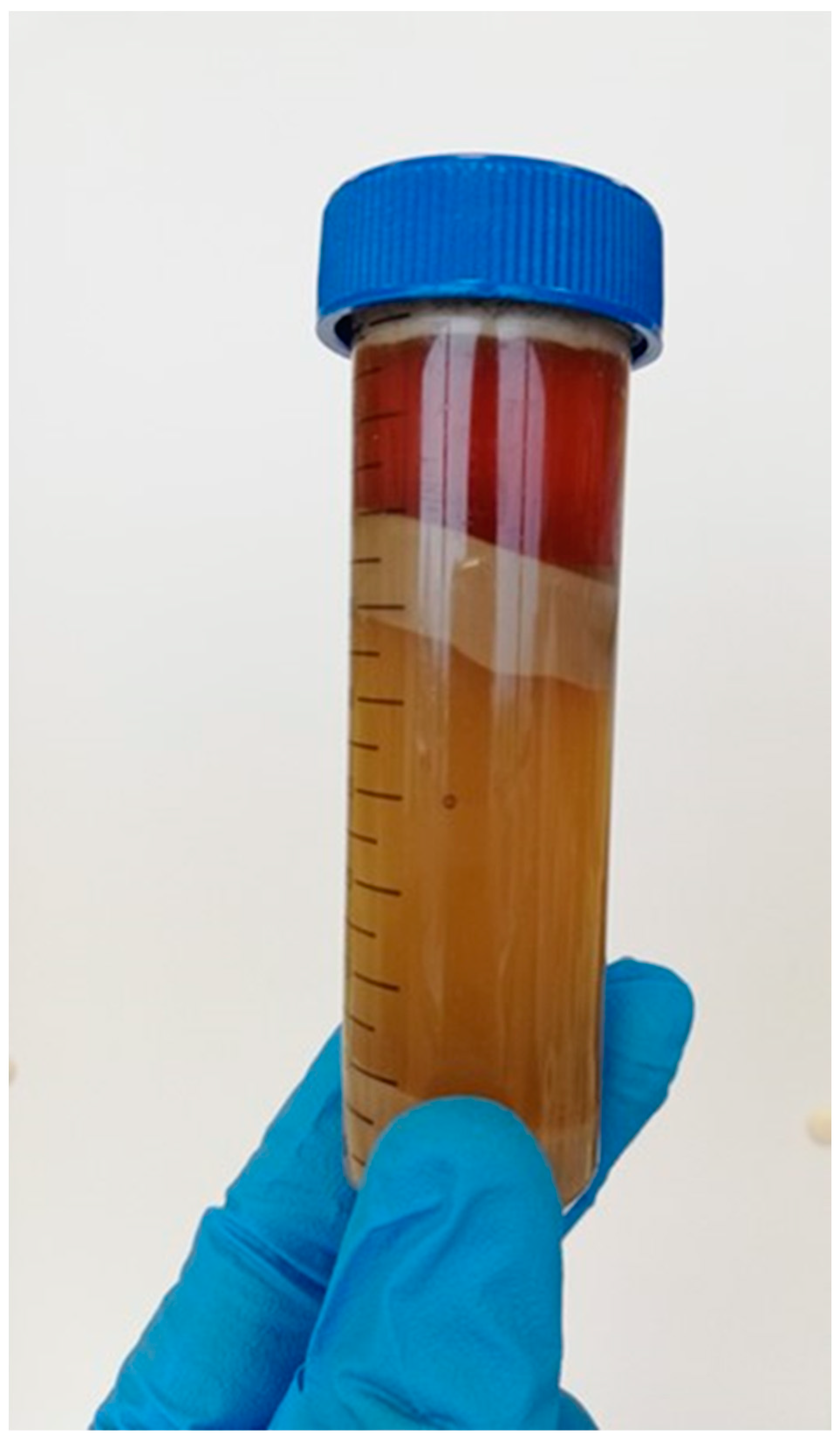 Applsci 14 10650 g002