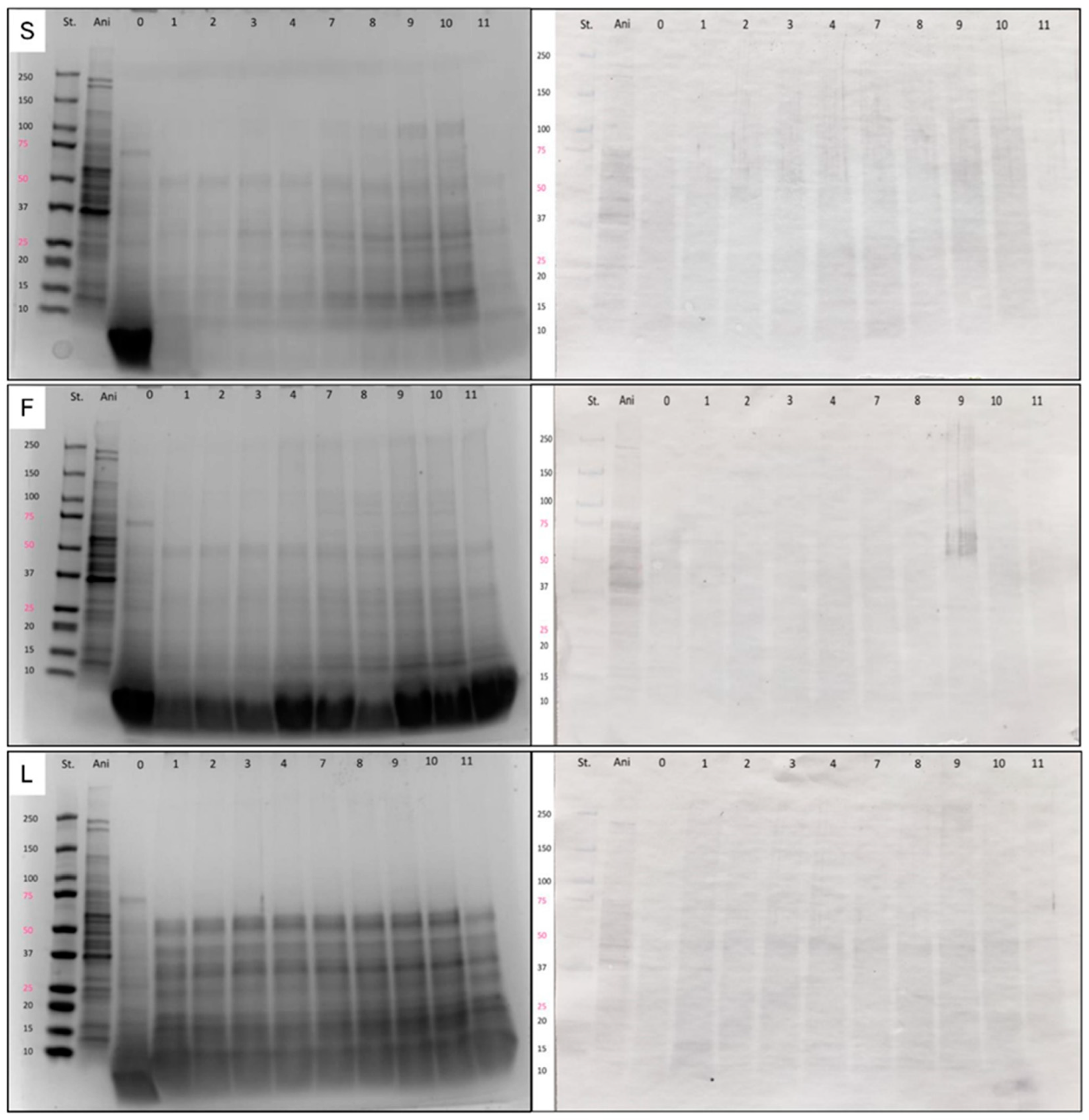 Applsci 14 10650 g006