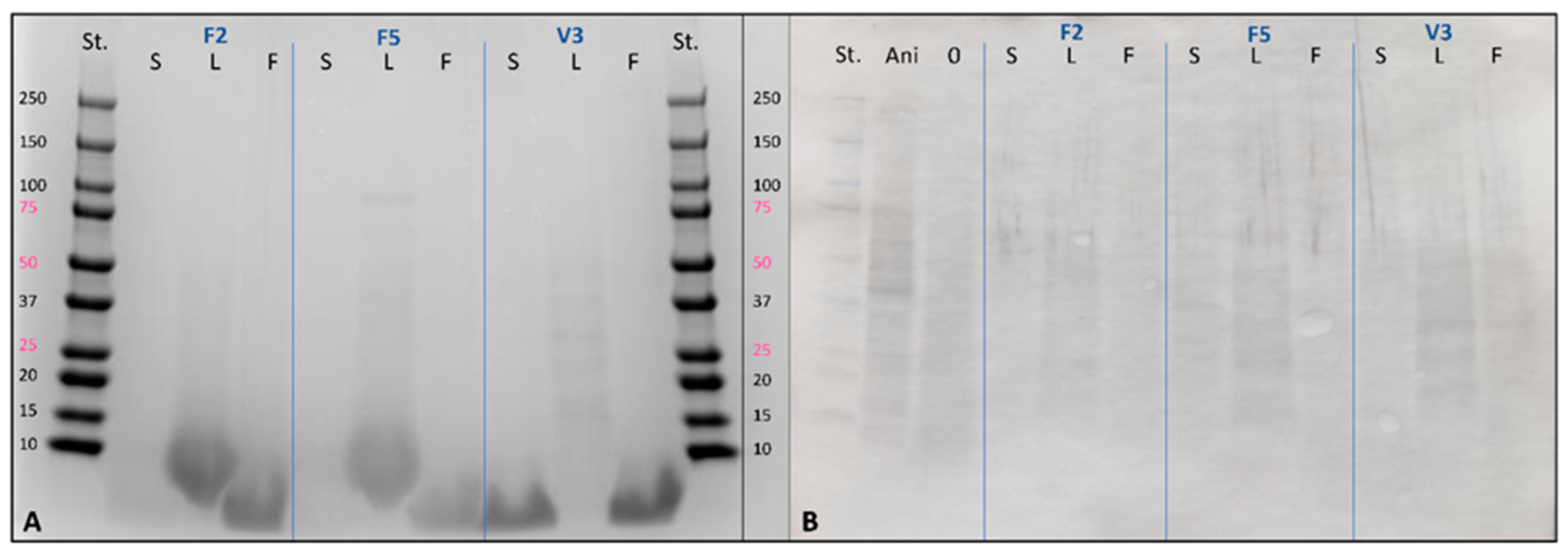 Applsci 14 10650 g007