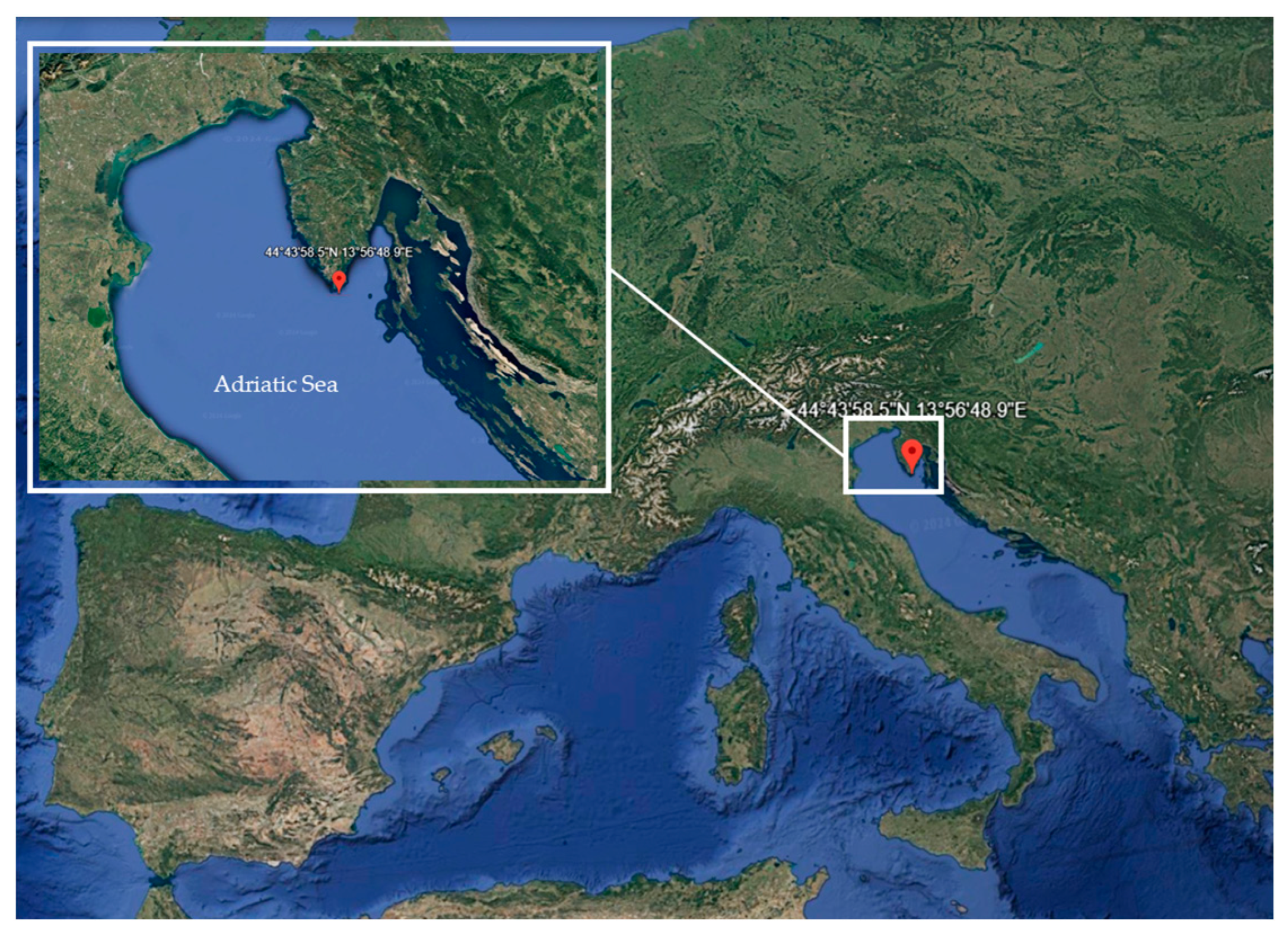 Applsci 14 10660 g001