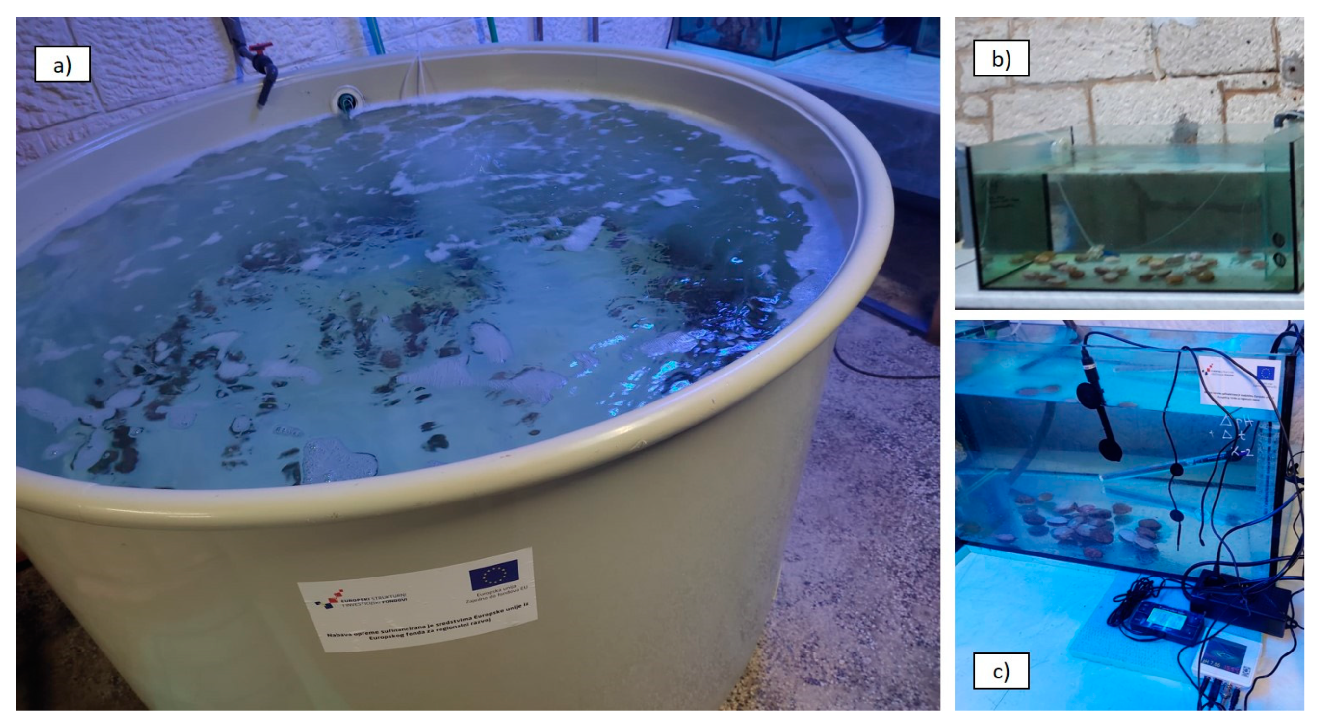 Applsci 14 10660 g002