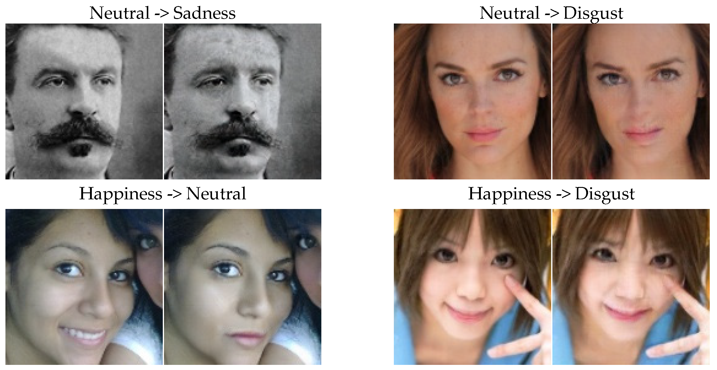 Applsci 14 10681 g0a1a