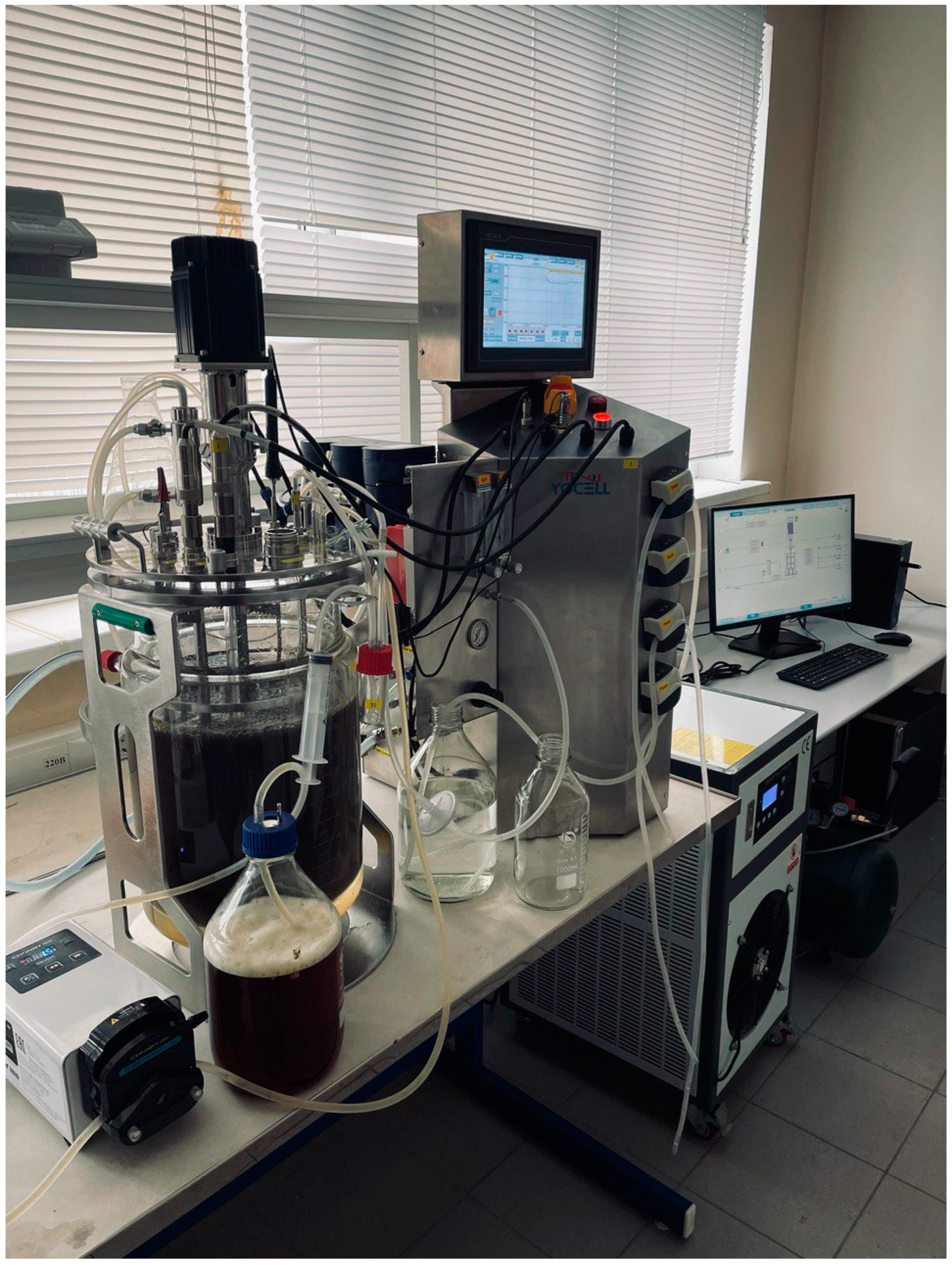 Applsci 14 10689 g001