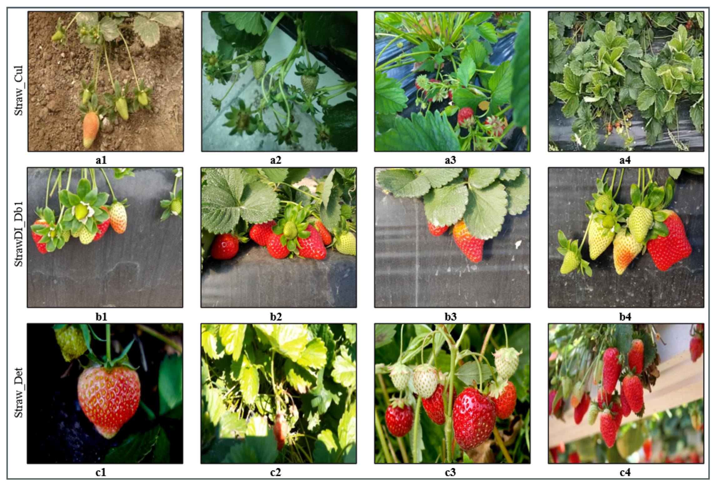 Applsci 14 10690 g001