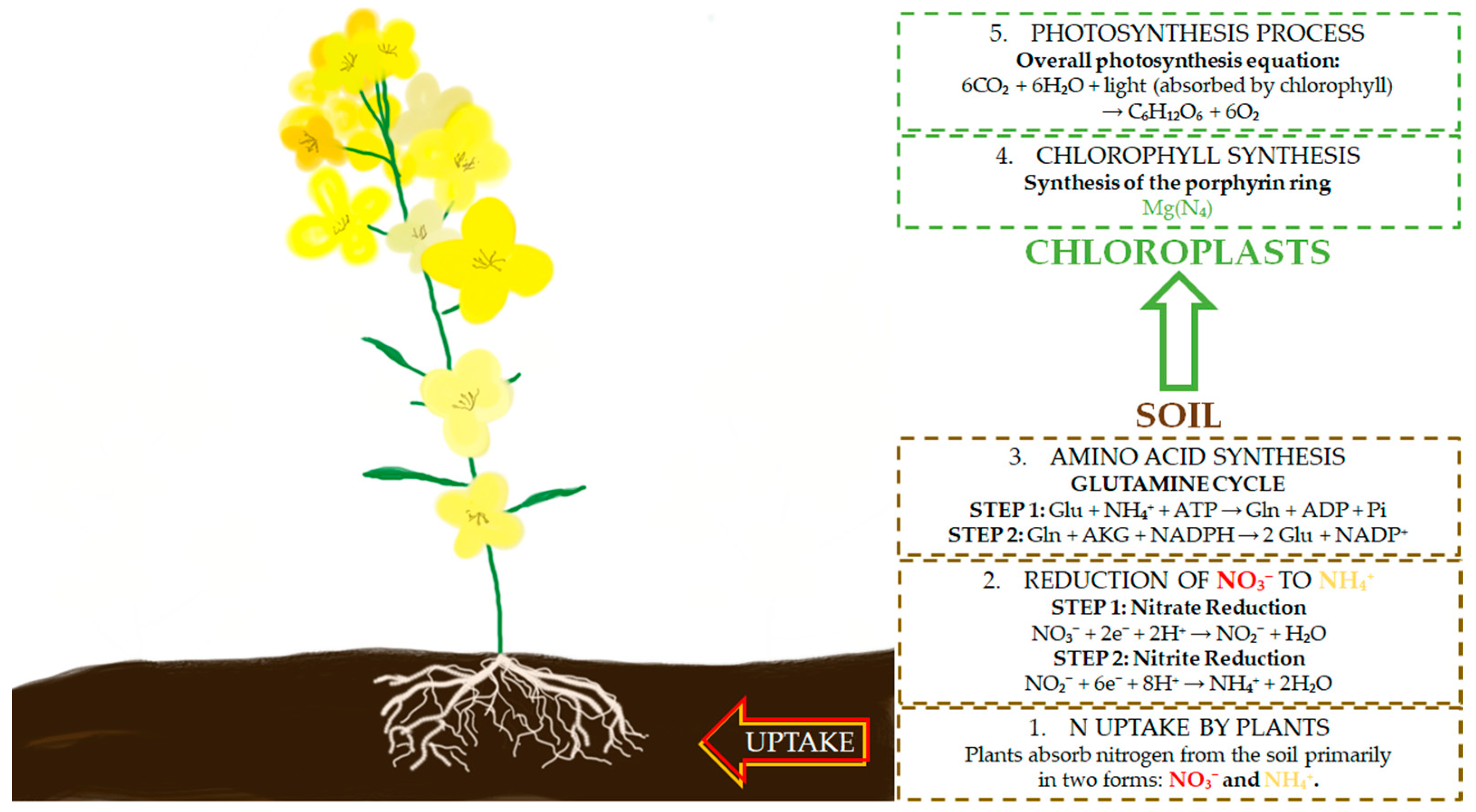 Applsci 14 10726 g001