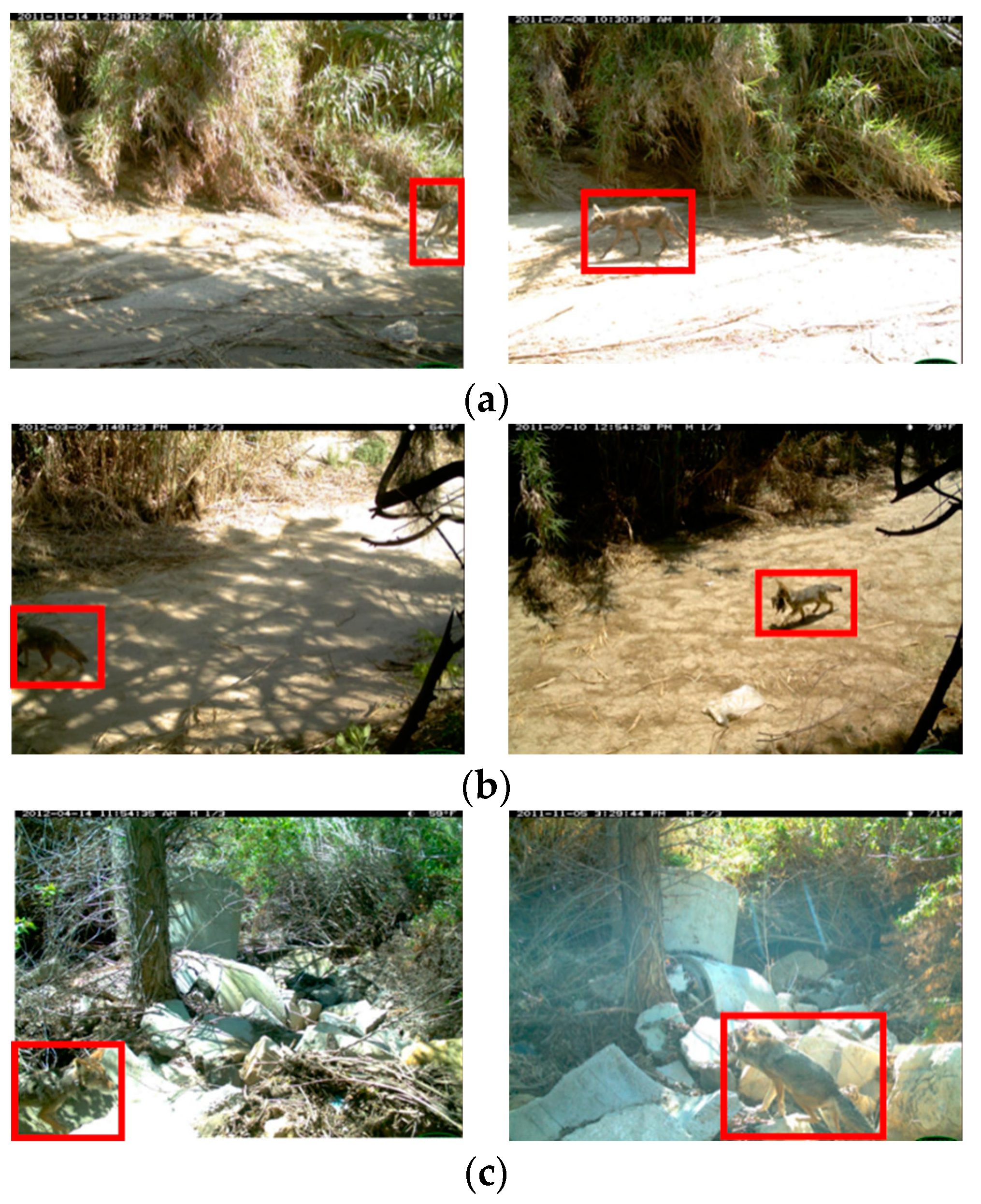 Applsci 14 10770 g004