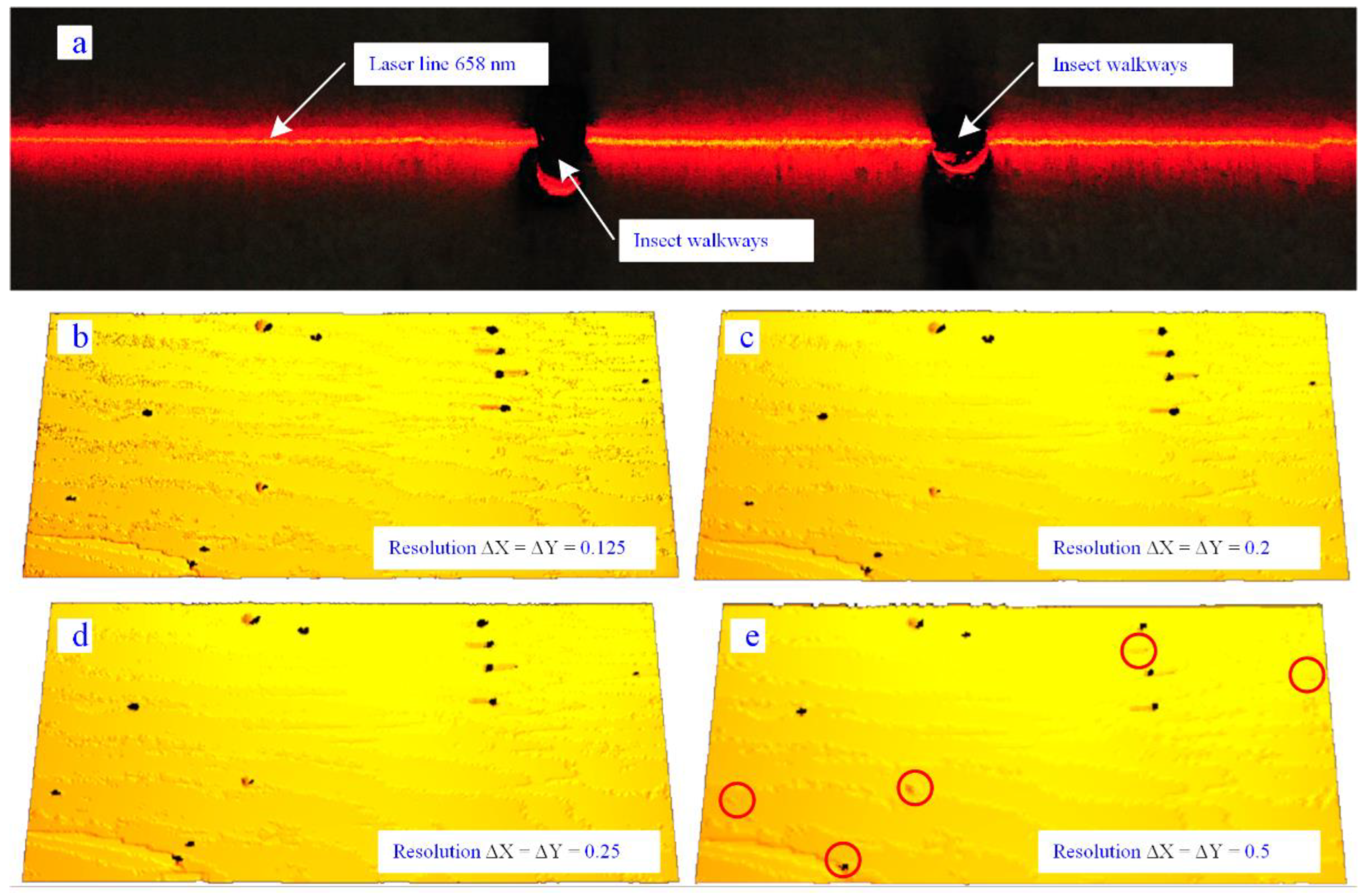 Applsci 14 10775 g003