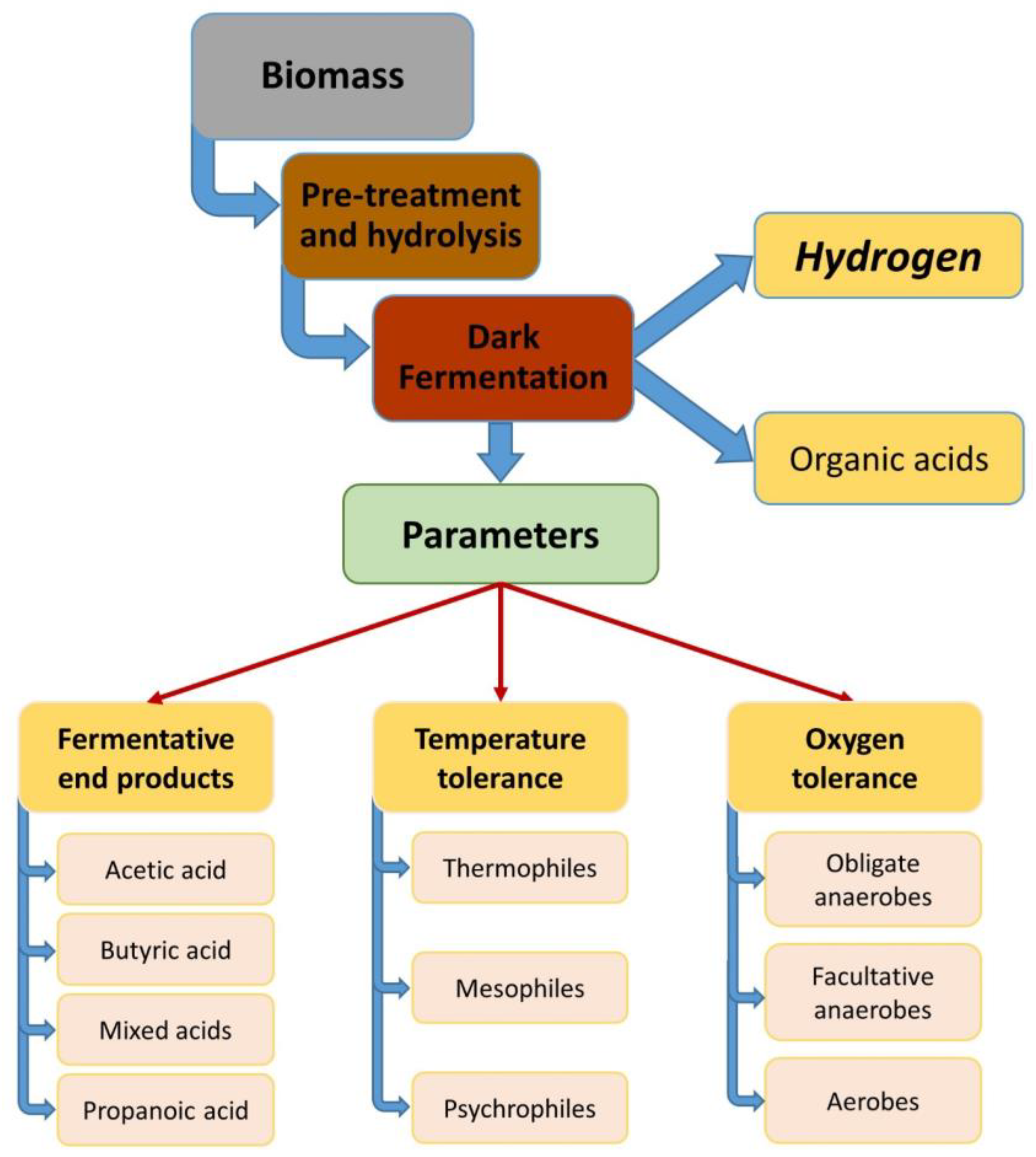 Applsci 14 10789 g002
