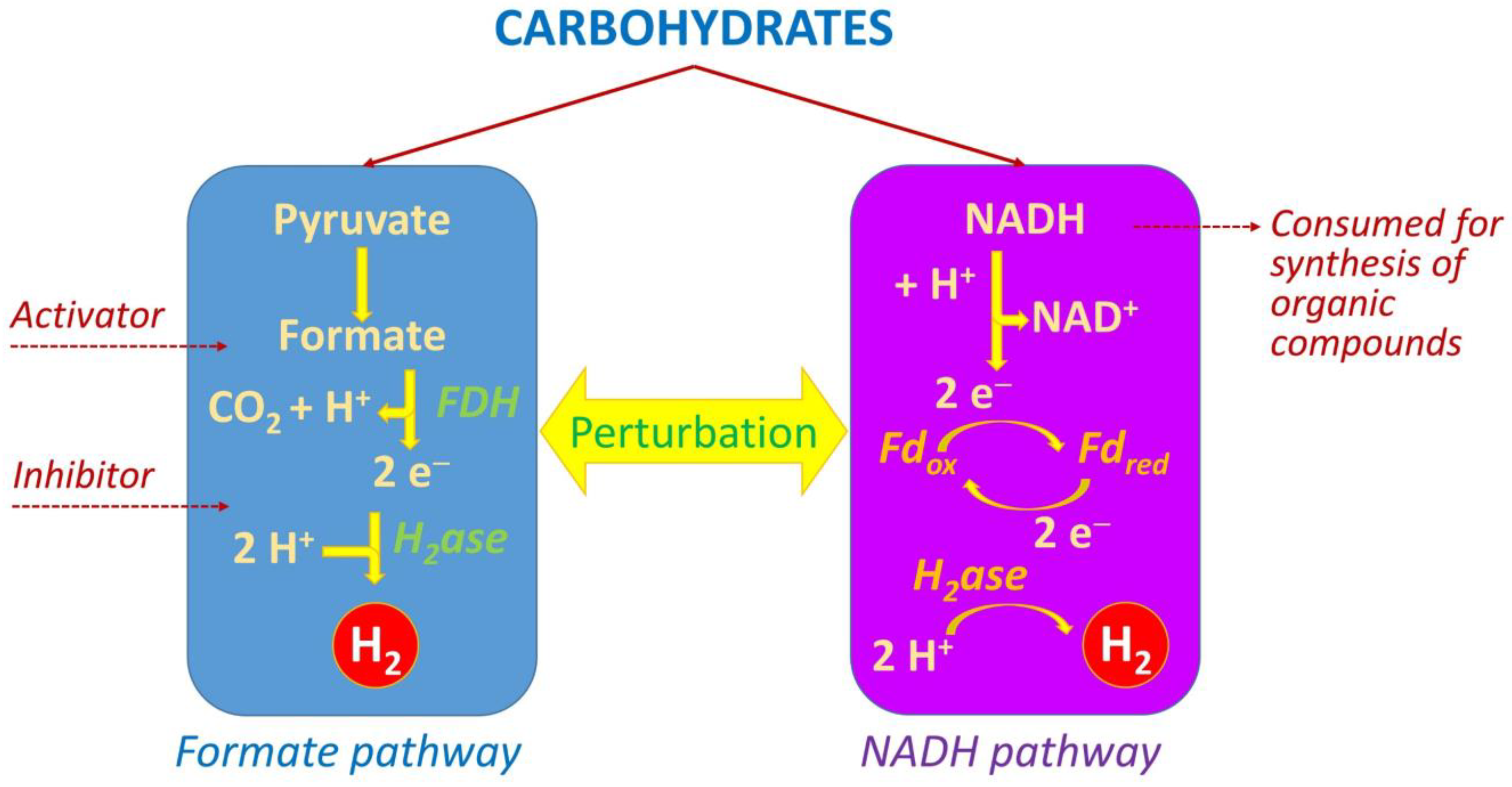 Applsci 14 10789 g003