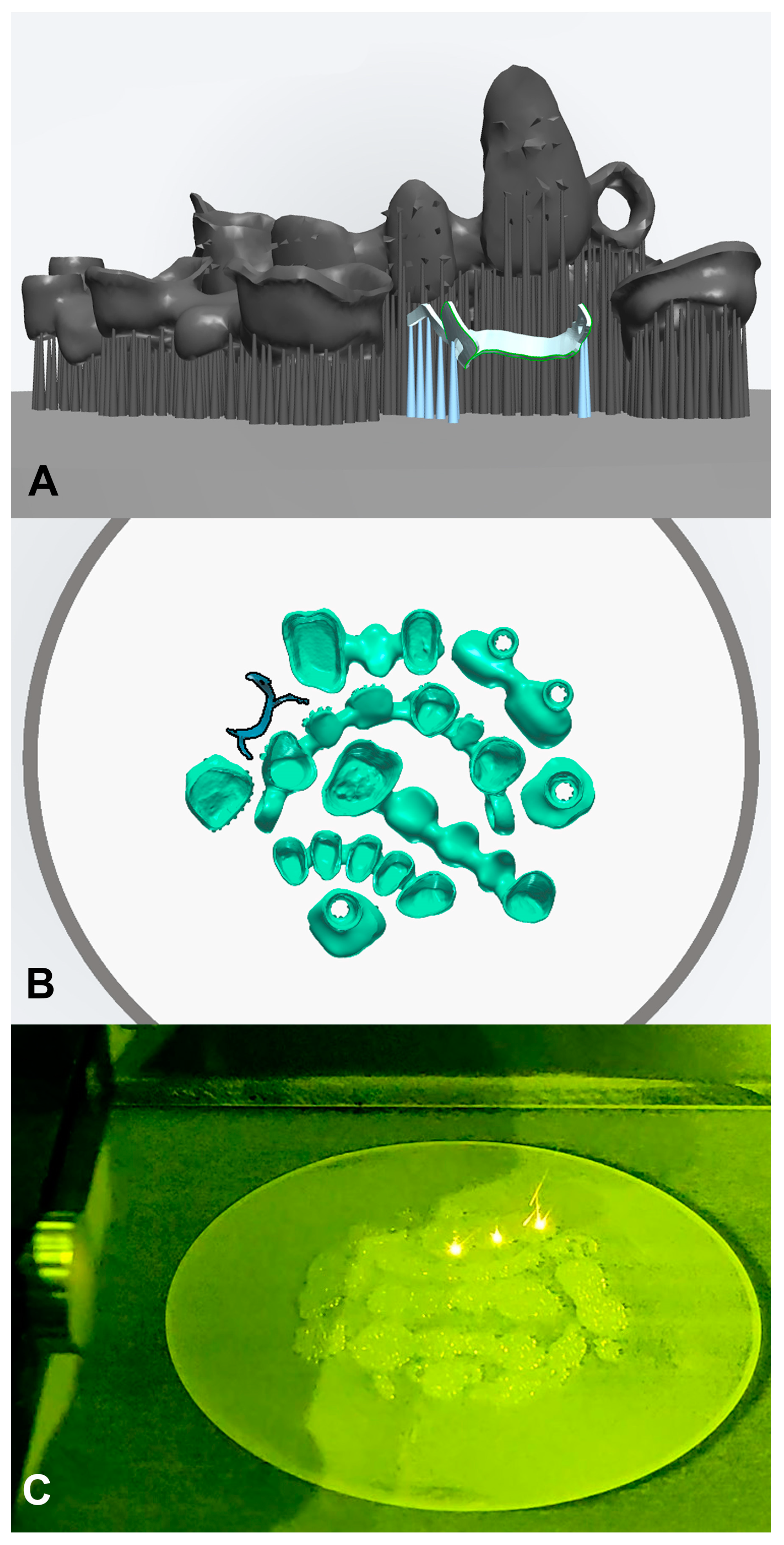 Applsci 14 10792 g003