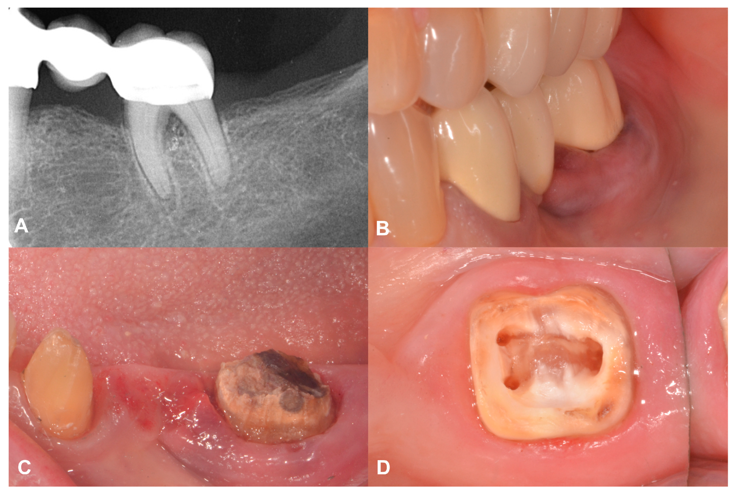 Applsci 14 10792 g005