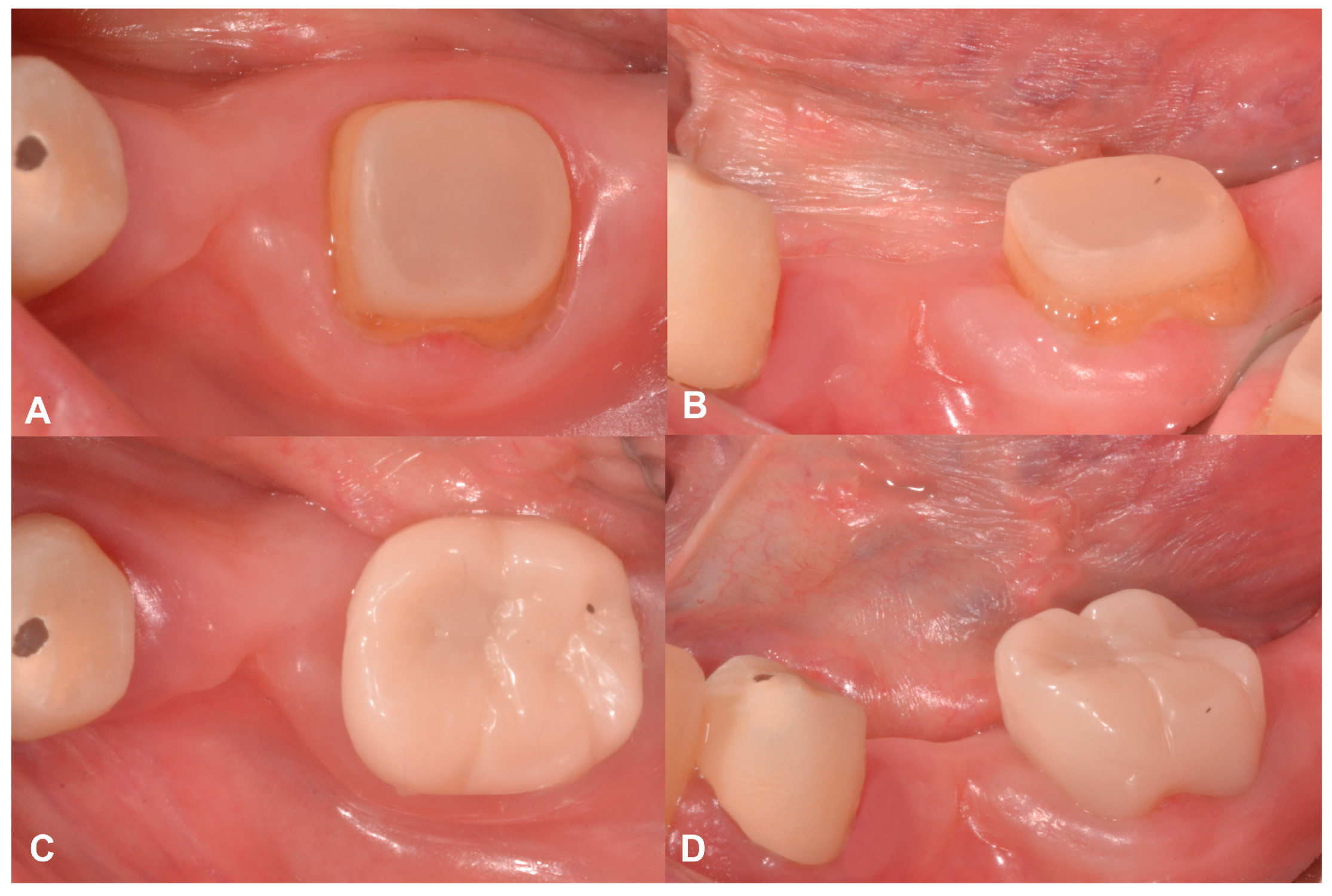 Applsci 14 10792 g007