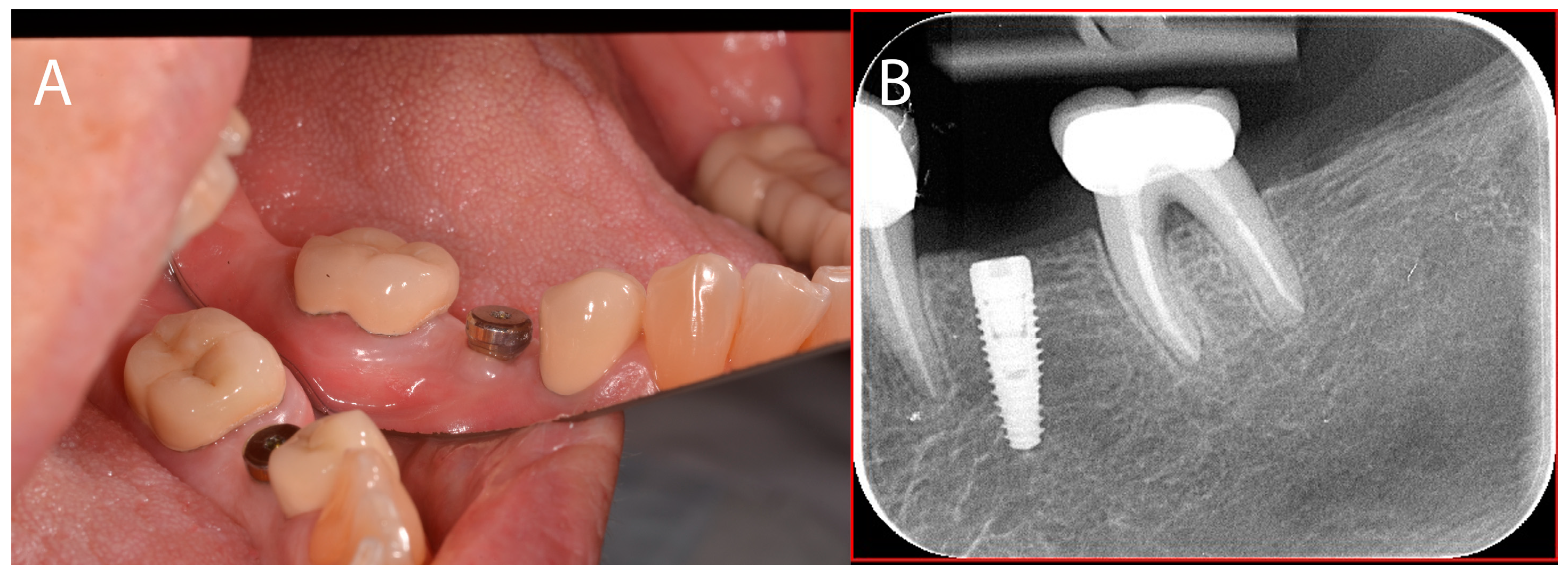 Applsci 14 10792 g008