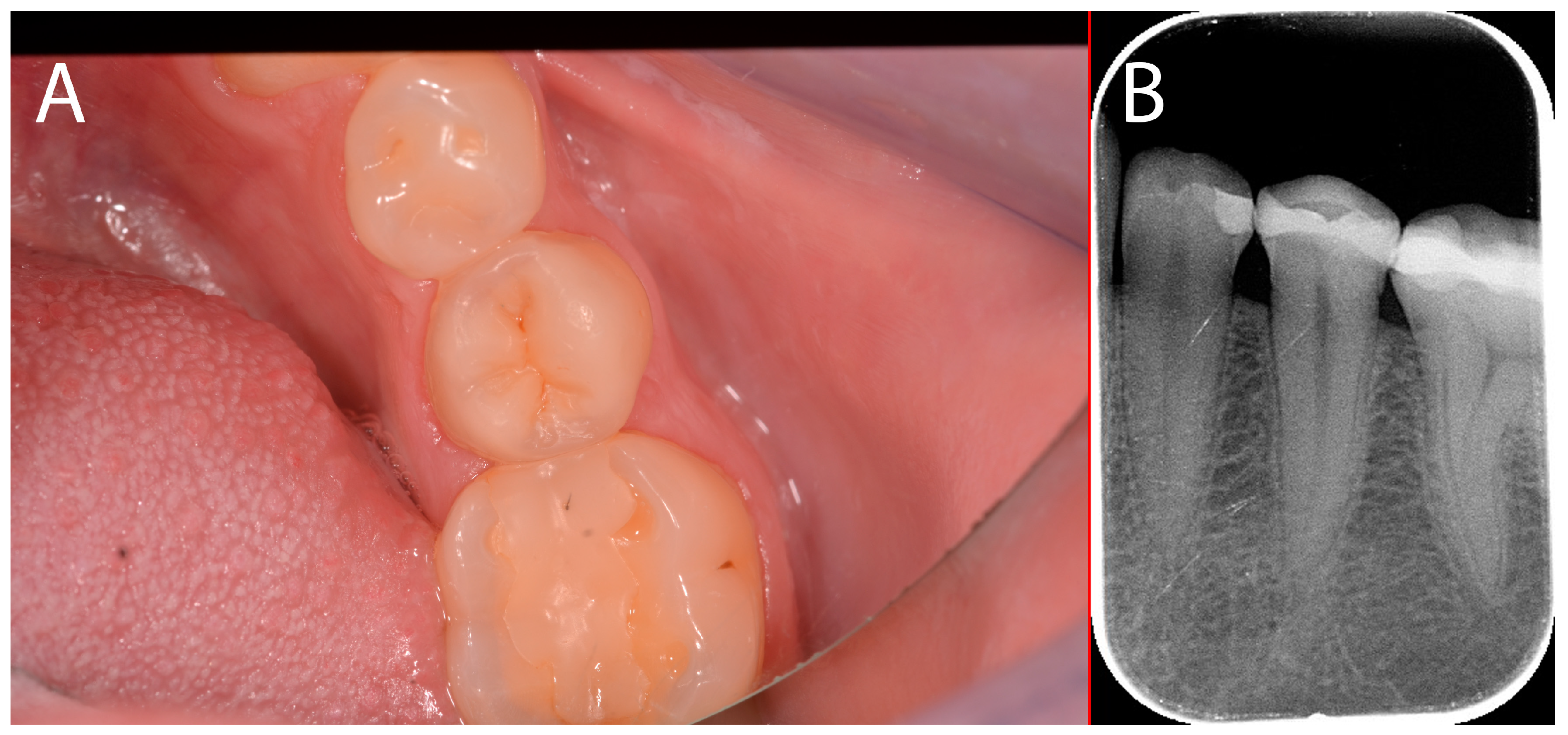 Applsci 14 10792 g012