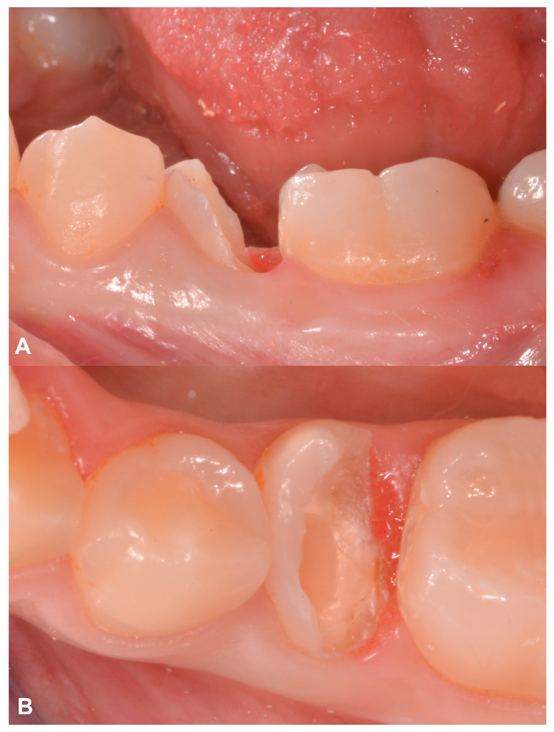 Applsci 14 10792 g013