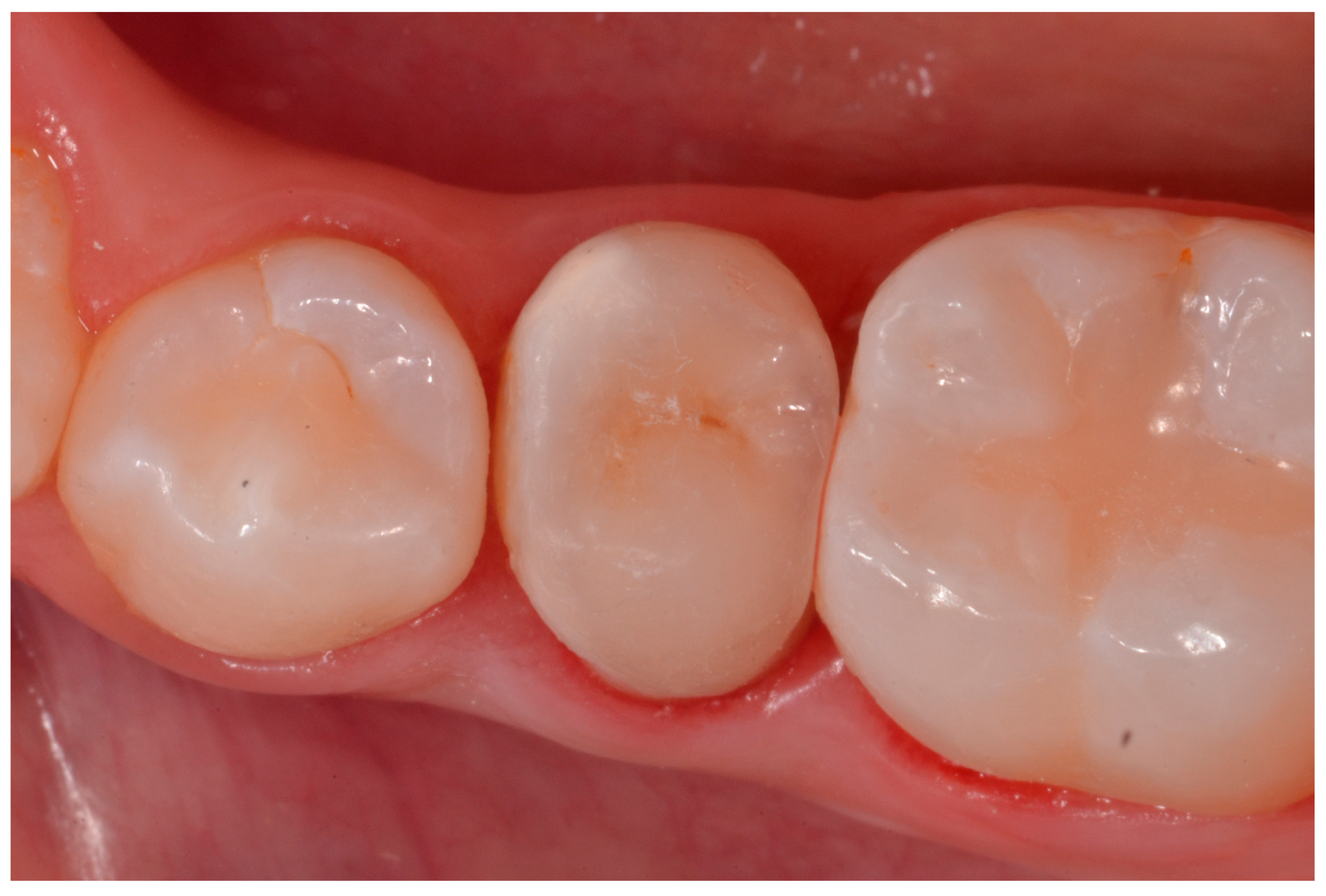 Applsci 14 10792 g015