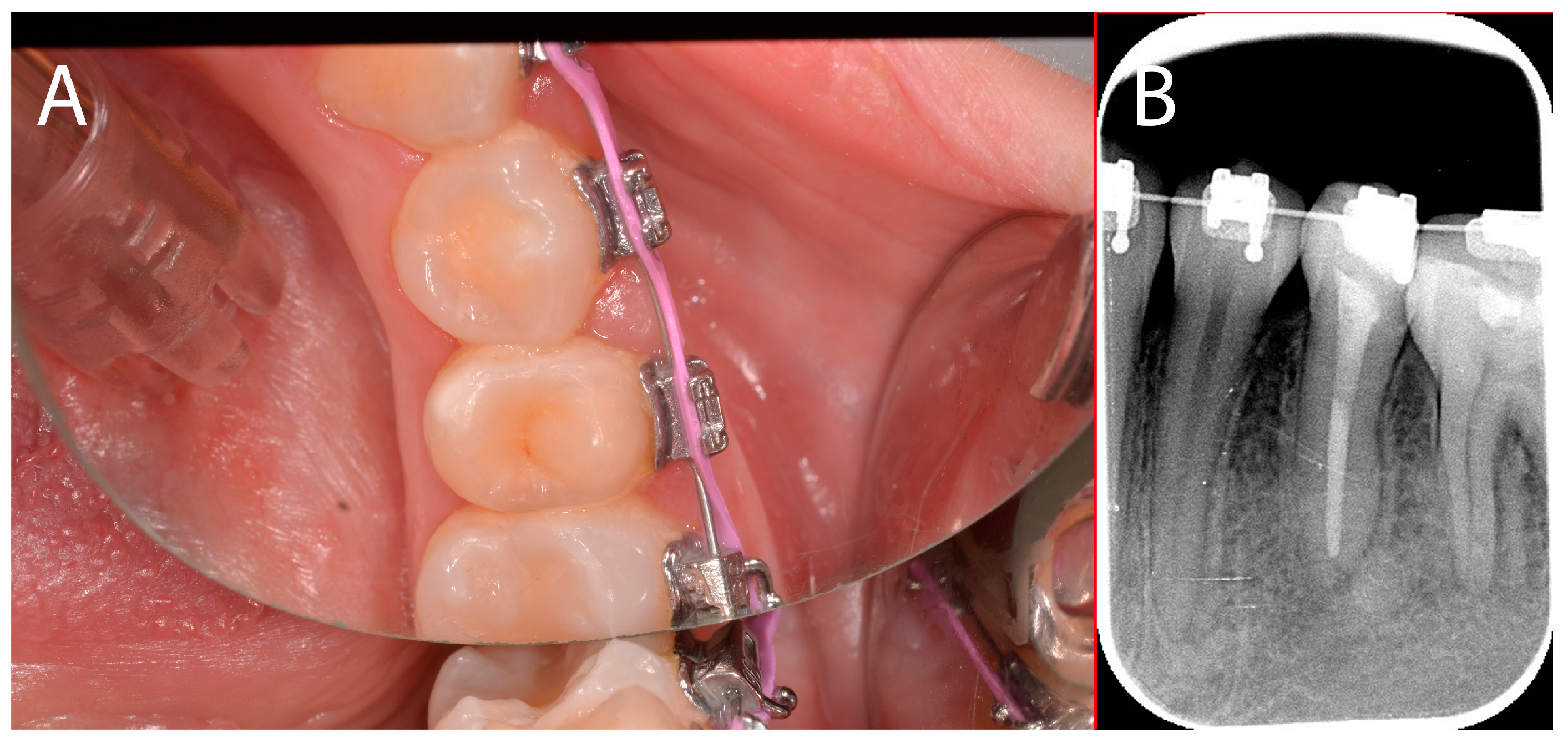 Applsci 14 10792 g016