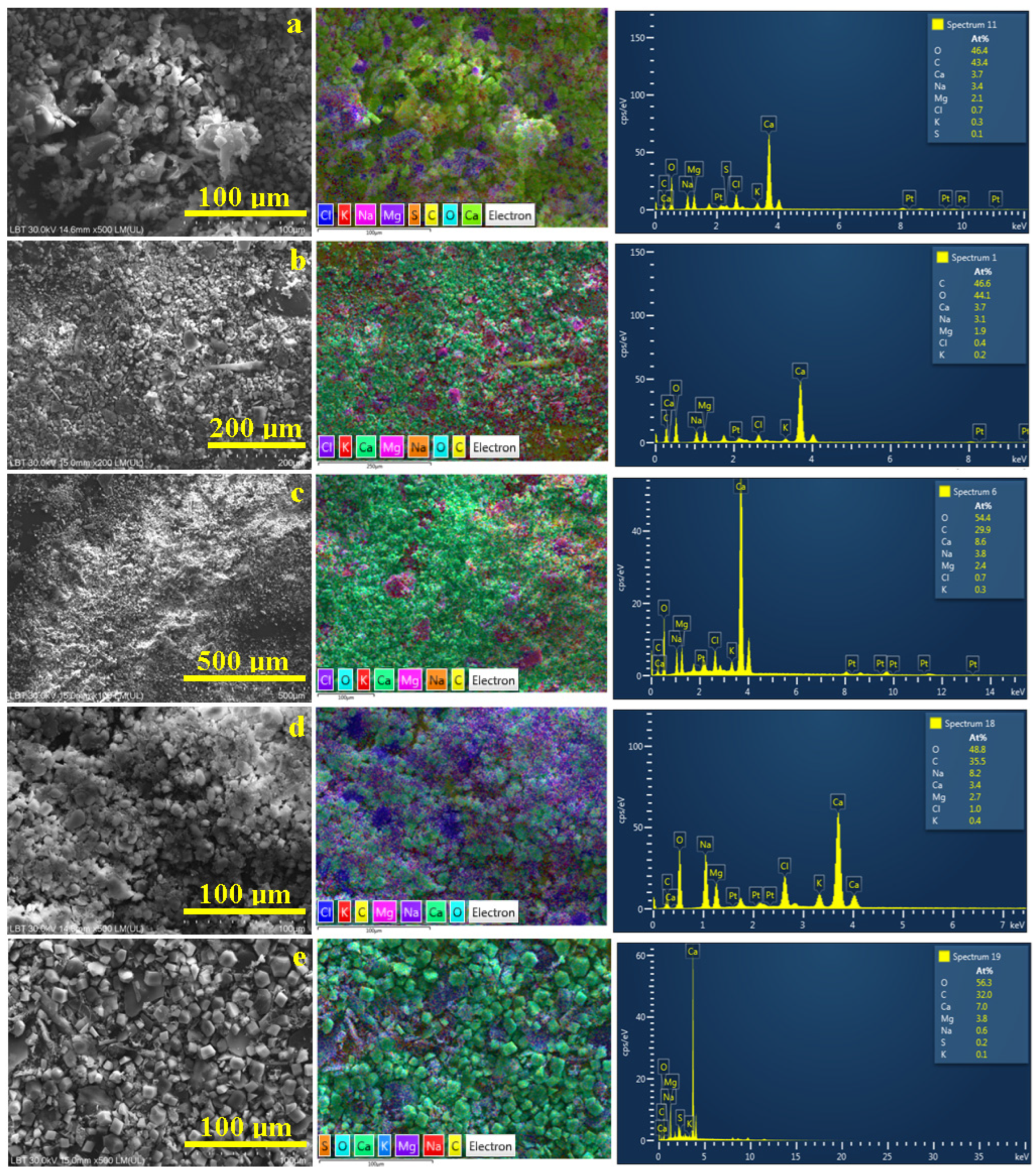 Applsci 14 10806 g006