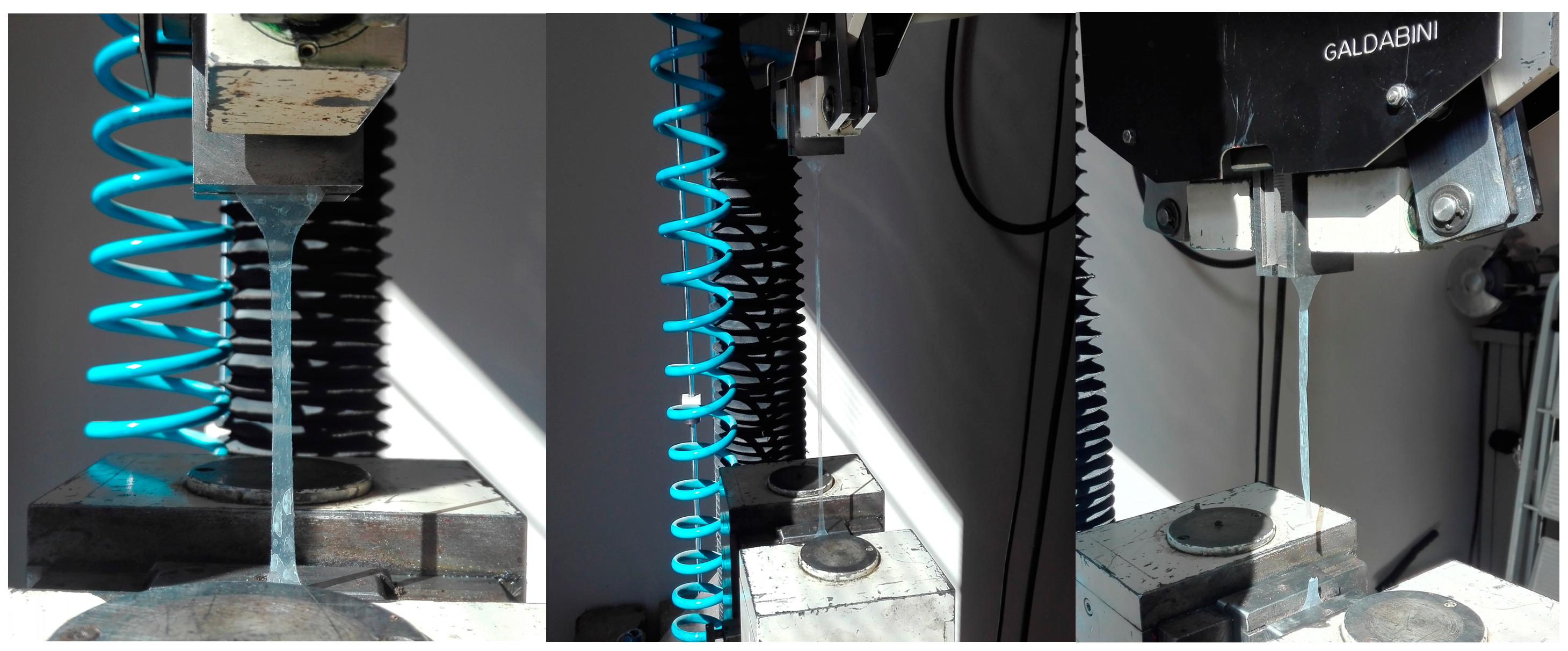 Applsci 14 10809 g001