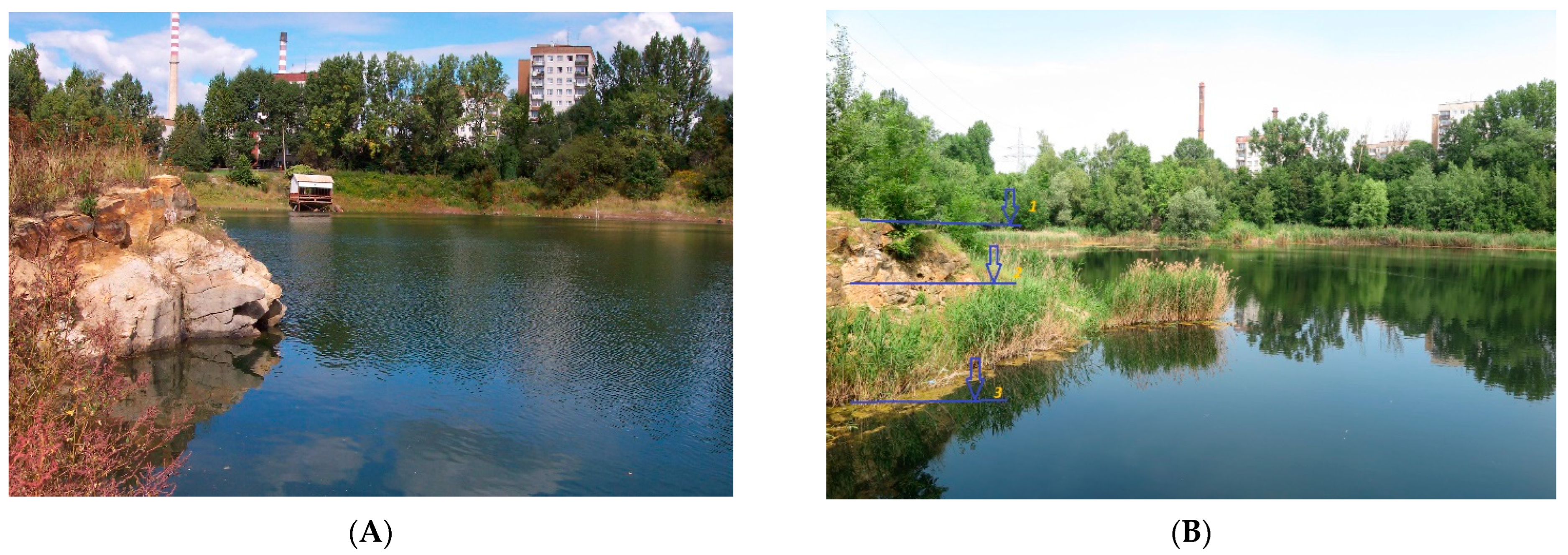 Applsci 14 10814 g005