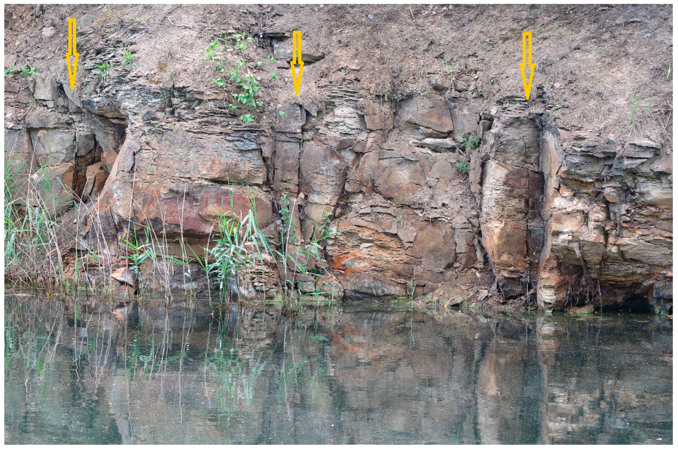 Applsci 14 10814 g012