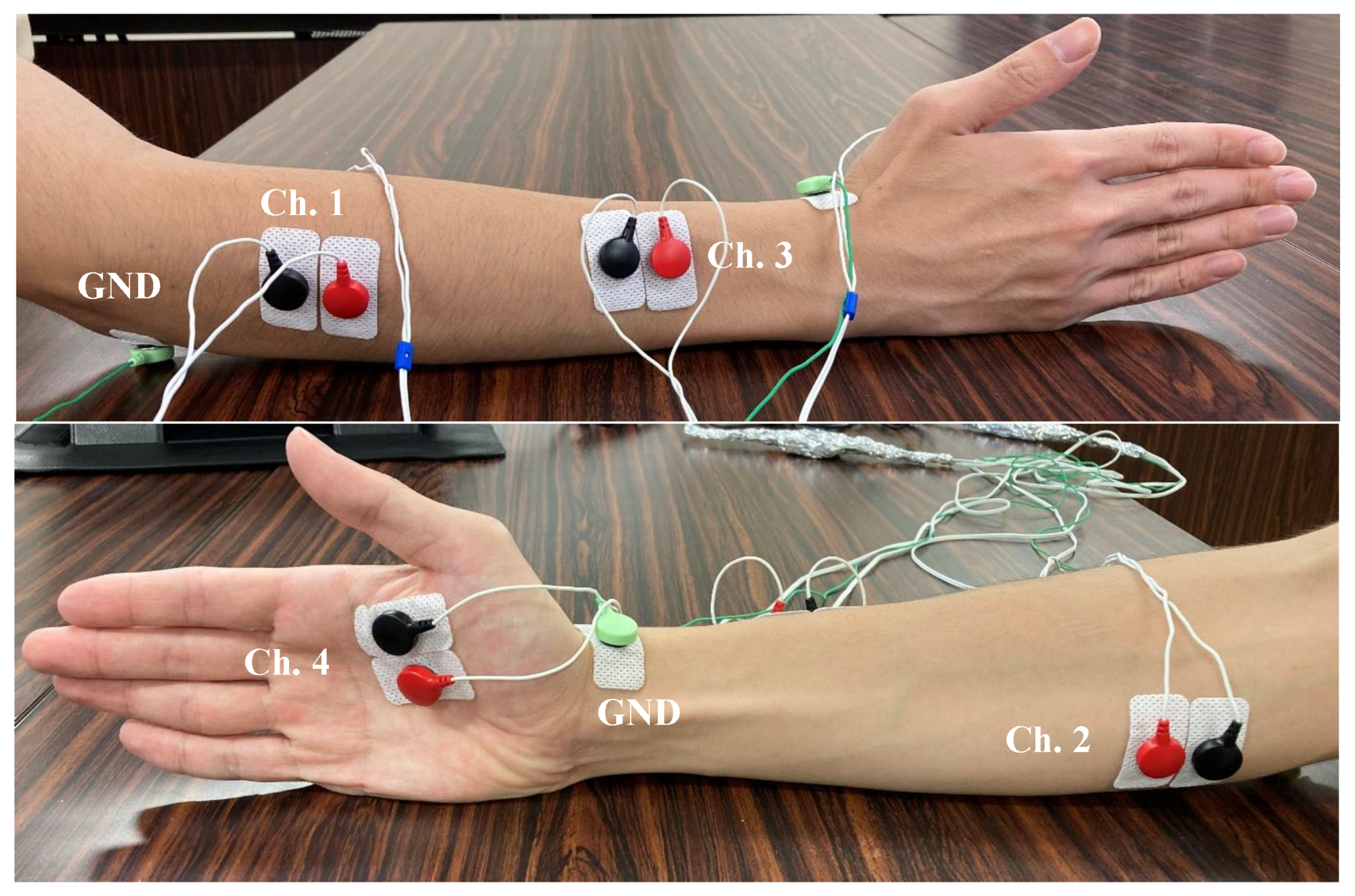 Applsci 14 10830 g001