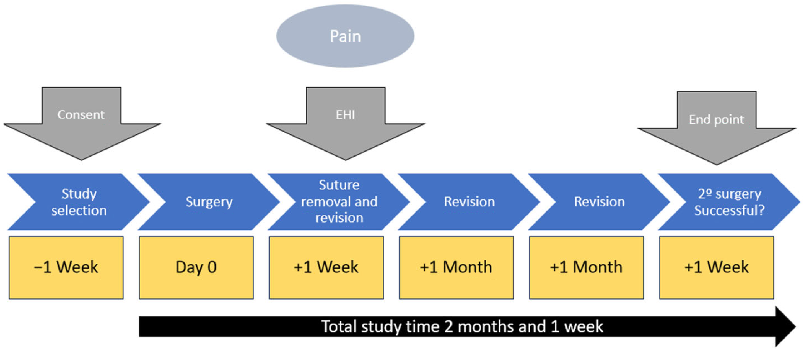Applsci 14 10840 g001