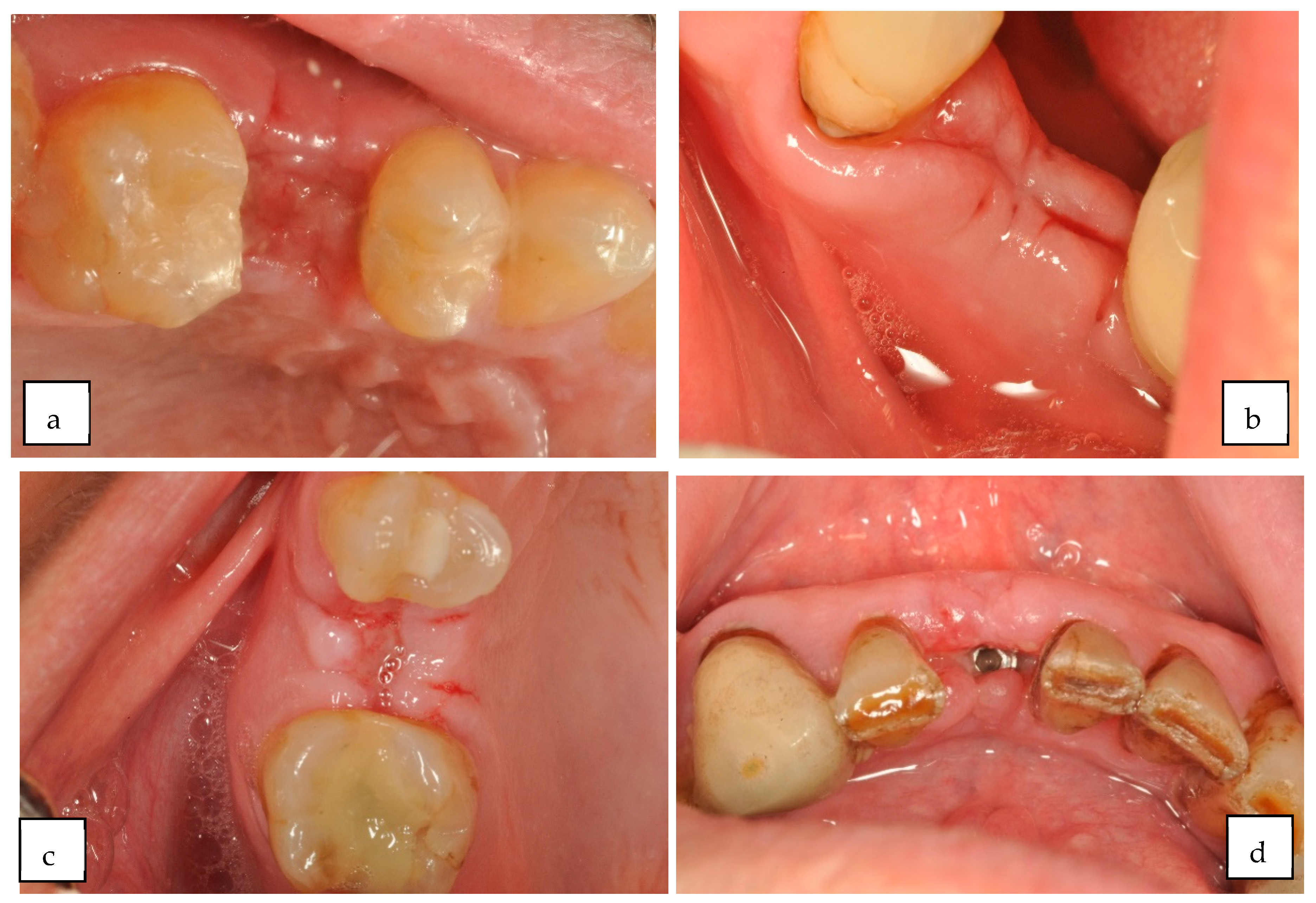 Applsci 14 10840 g005a