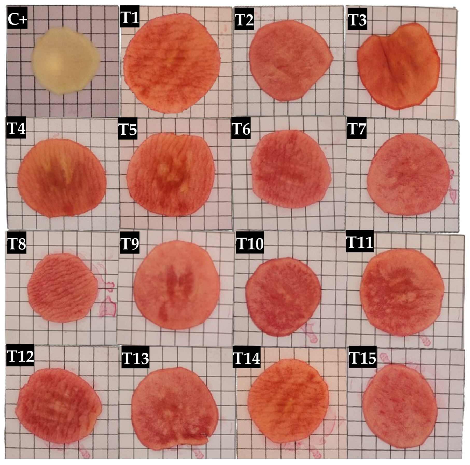 Applsci 14 10850 g001