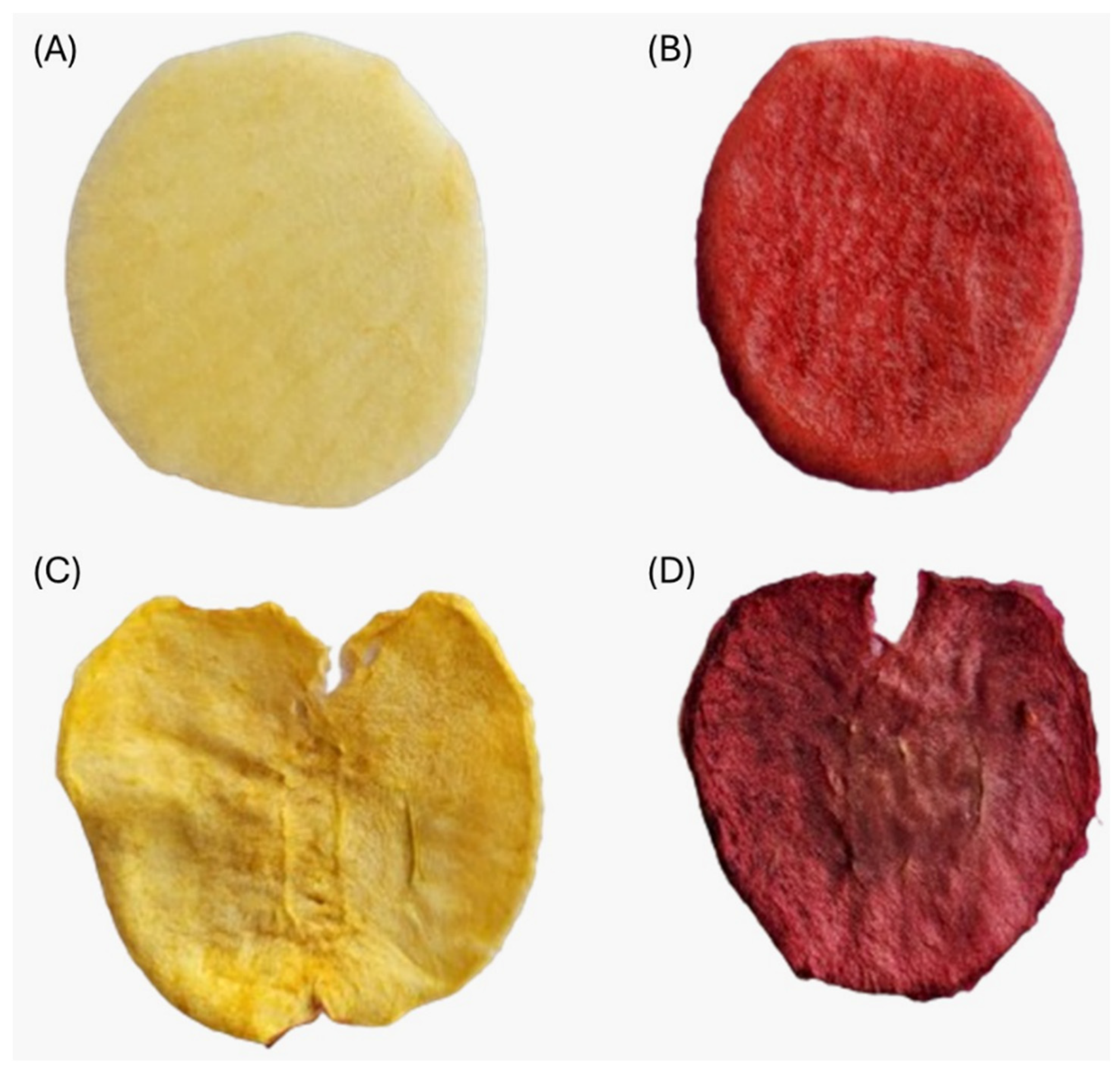 Applsci 14 10850 g004