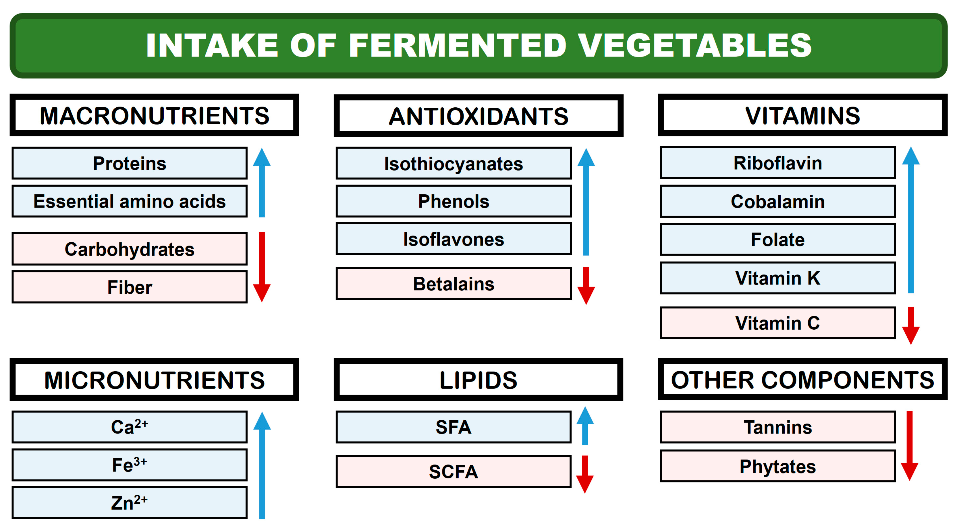 Applsci 14 10853 g001