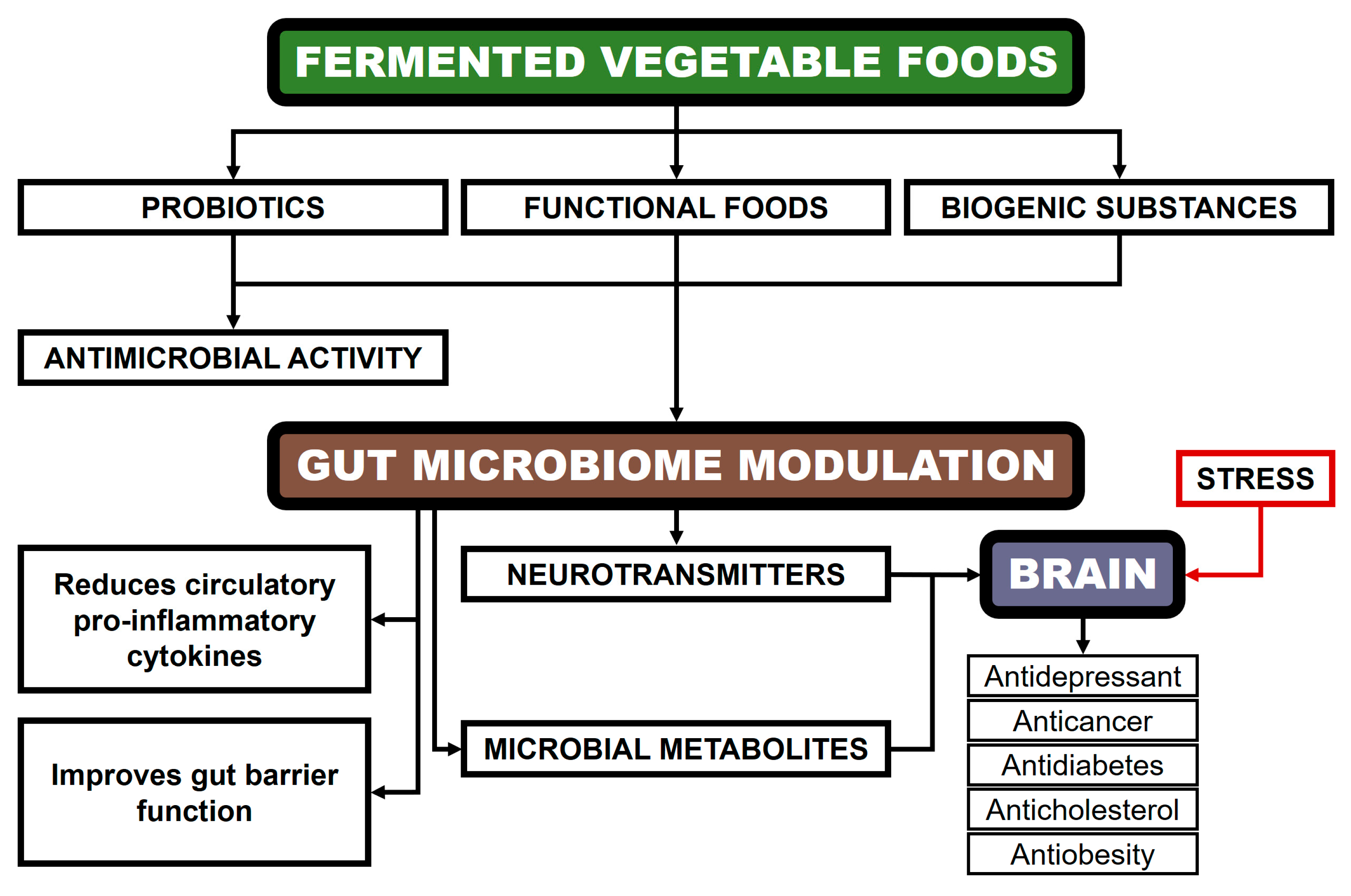 Applsci 14 10853 g002