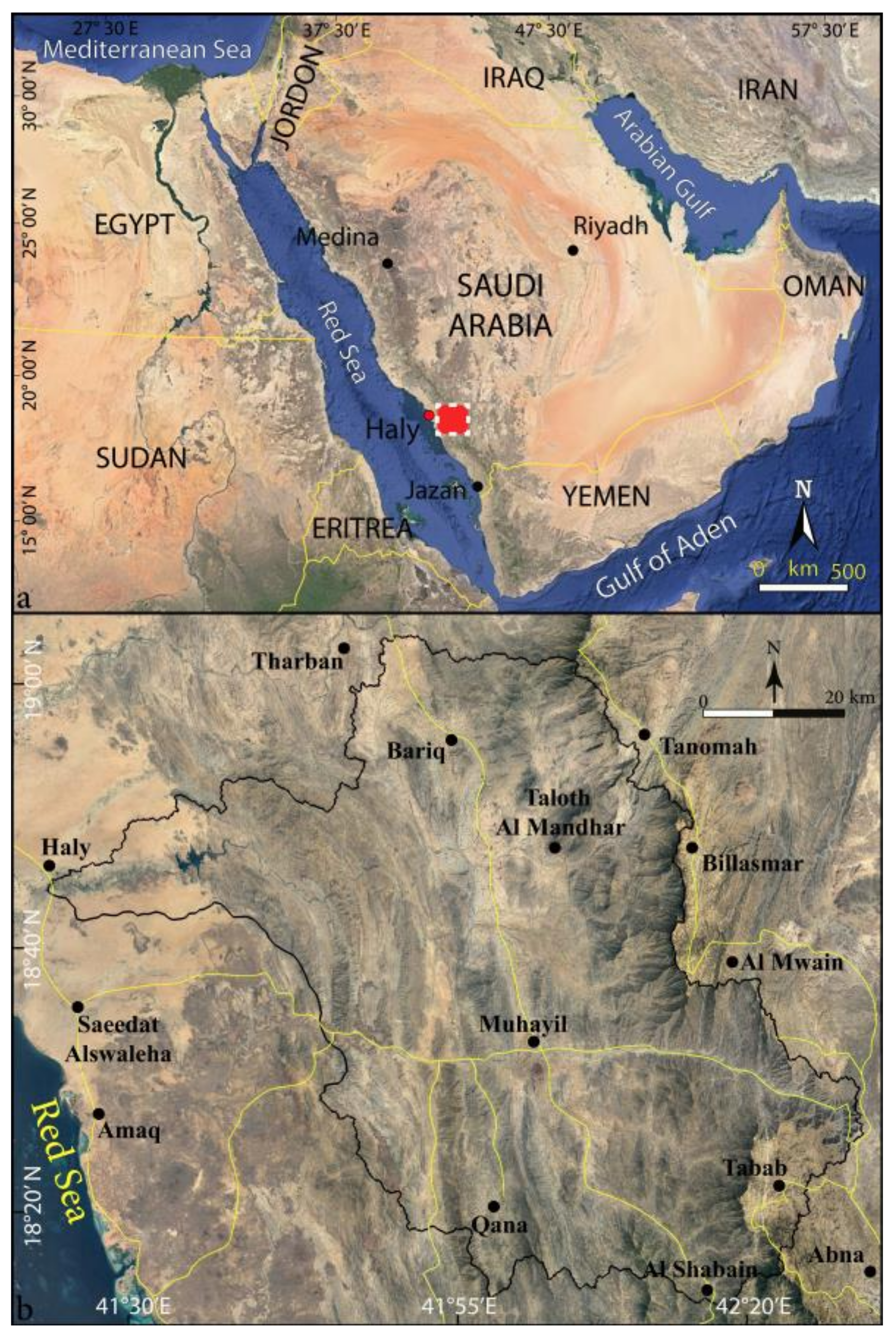 Applsci 14 10854 g001