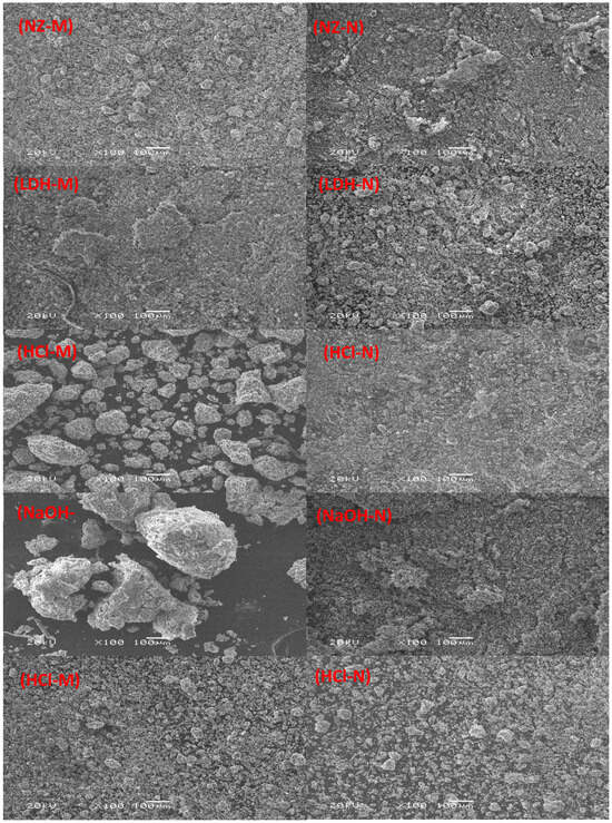 Application of Natural and Modified Zeolite Sediments for the ...