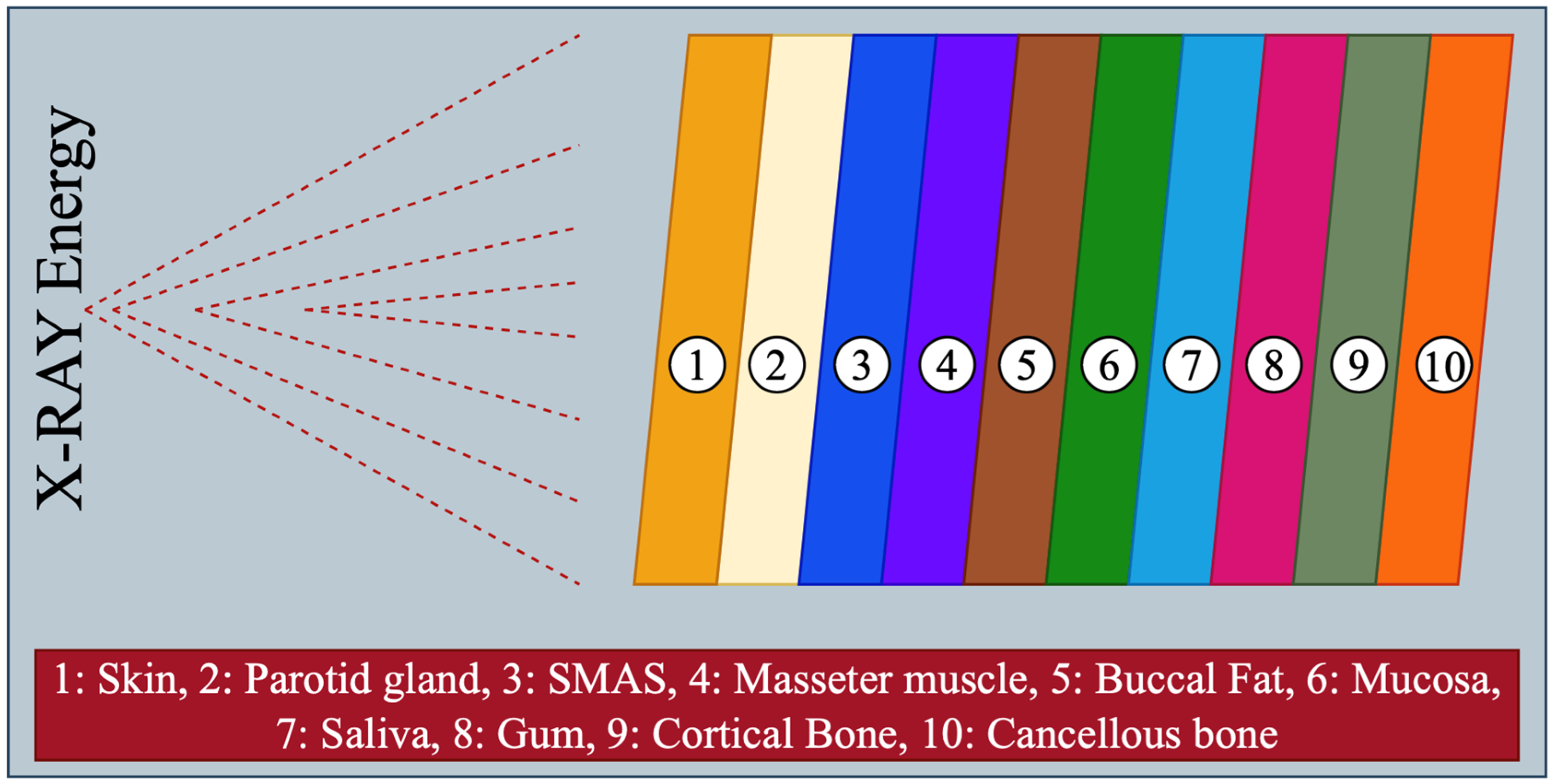 Applsci 14 10879 g002 Applsci 14 10879 g002