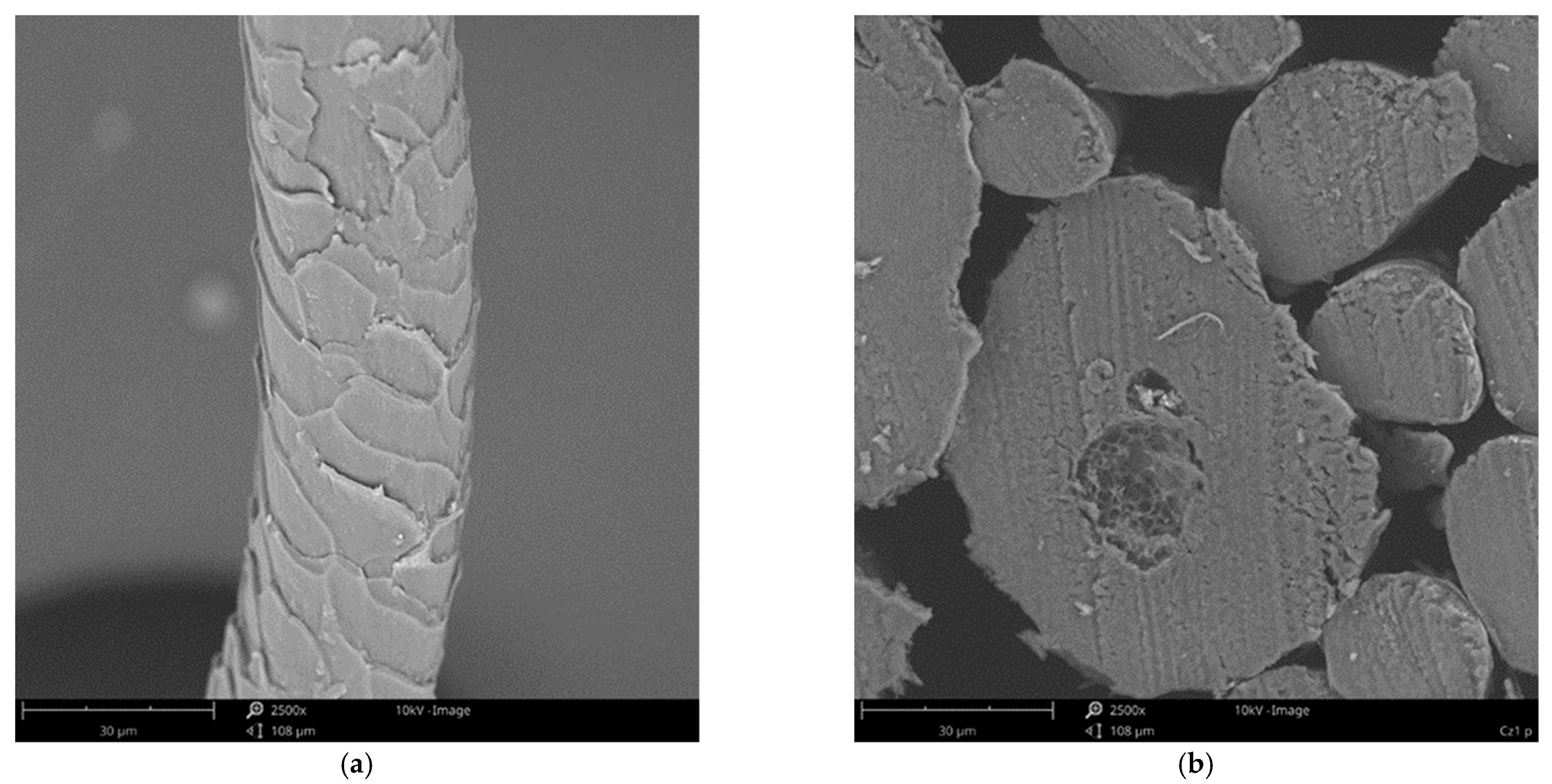 Applsci 14 10884 g008