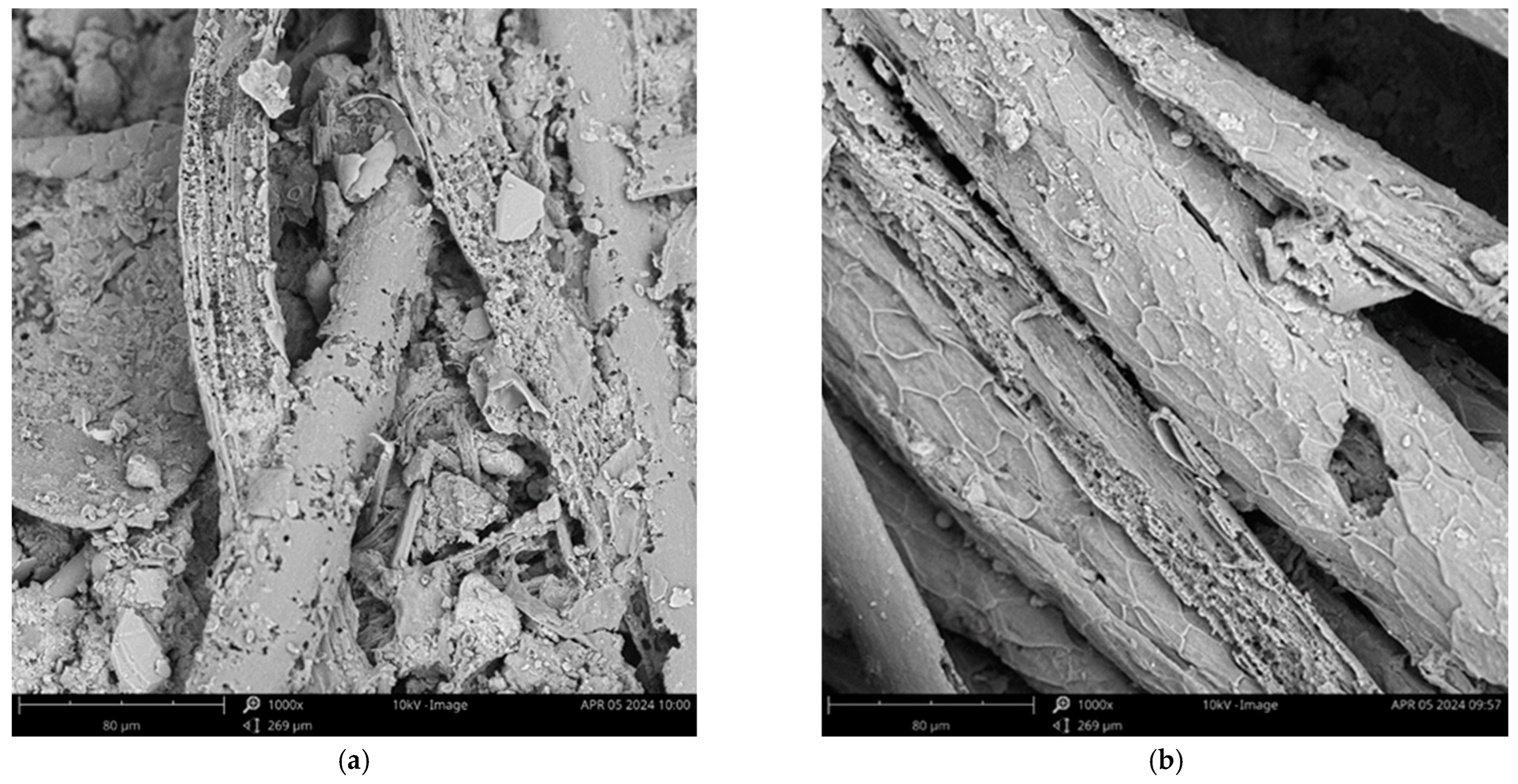 Applsci 14 10884 g010