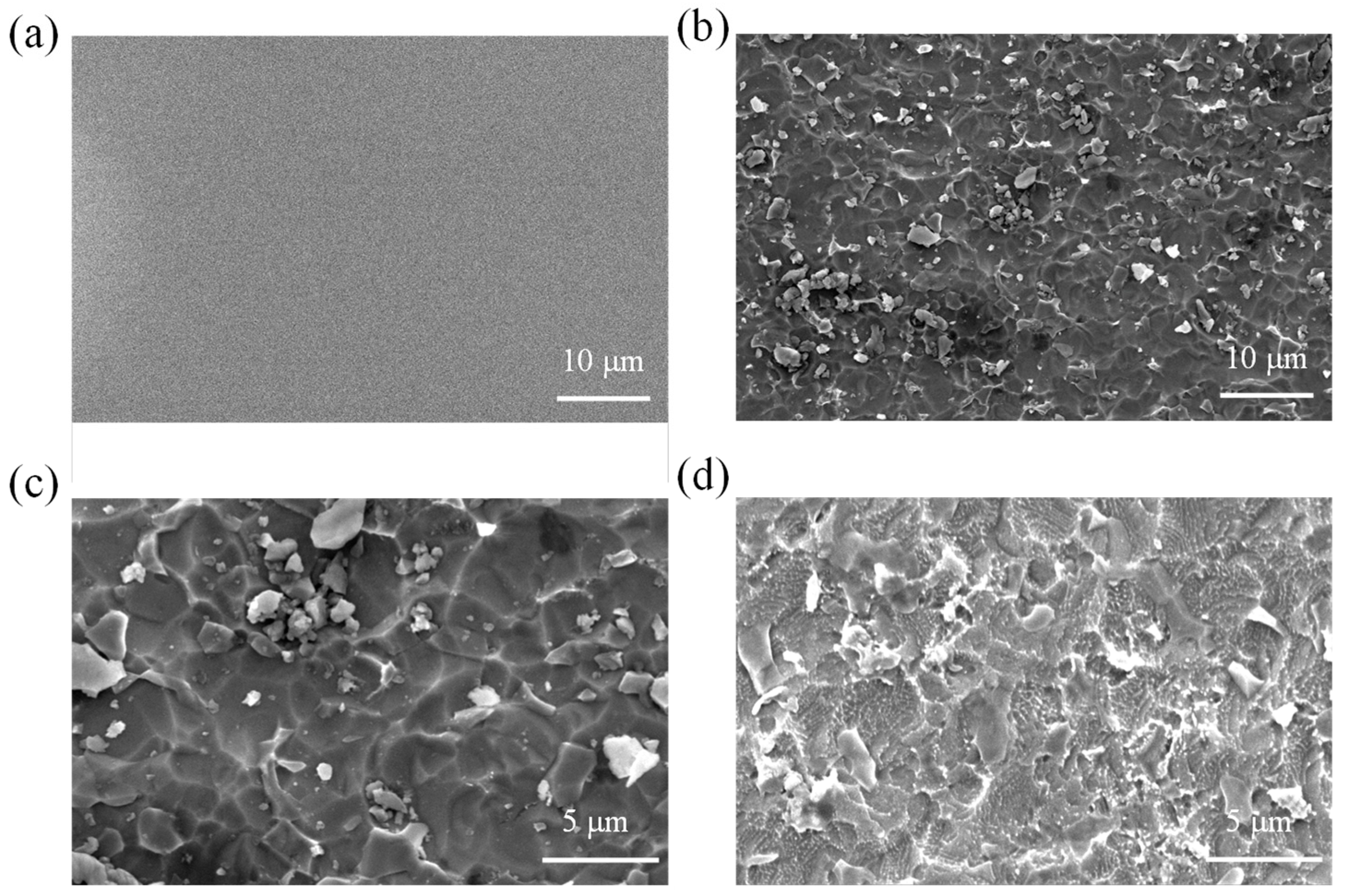 Applsci 14 10904 g001