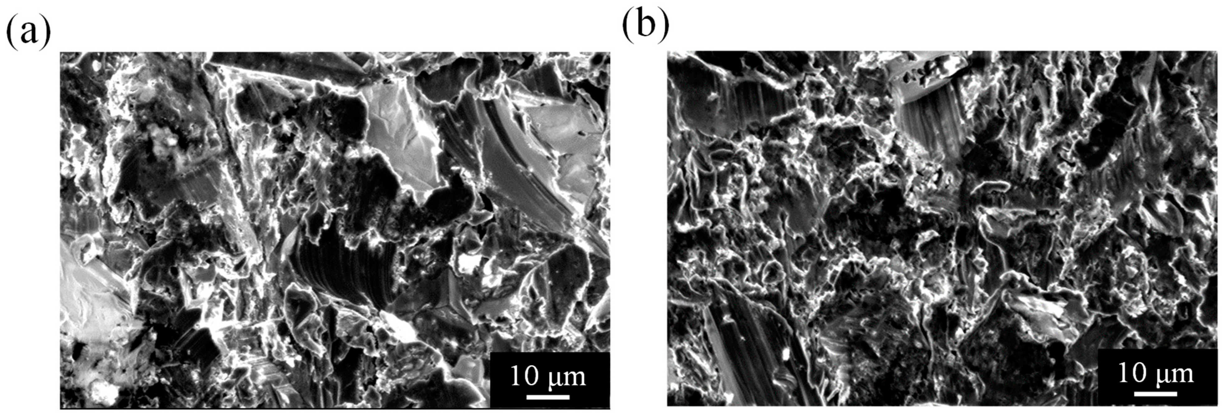 Applsci 14 10904 g002