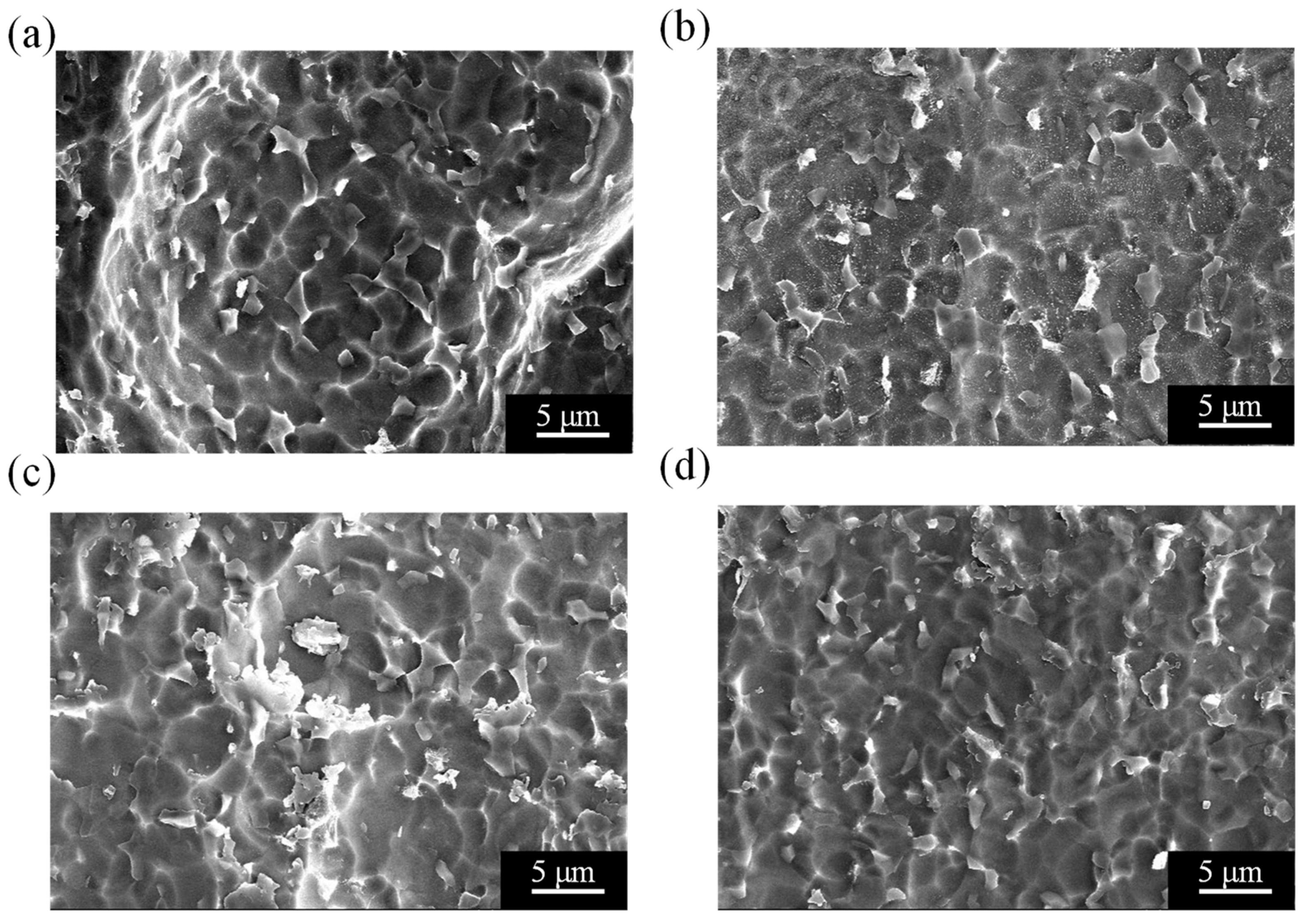 Applsci 14 10904 g003