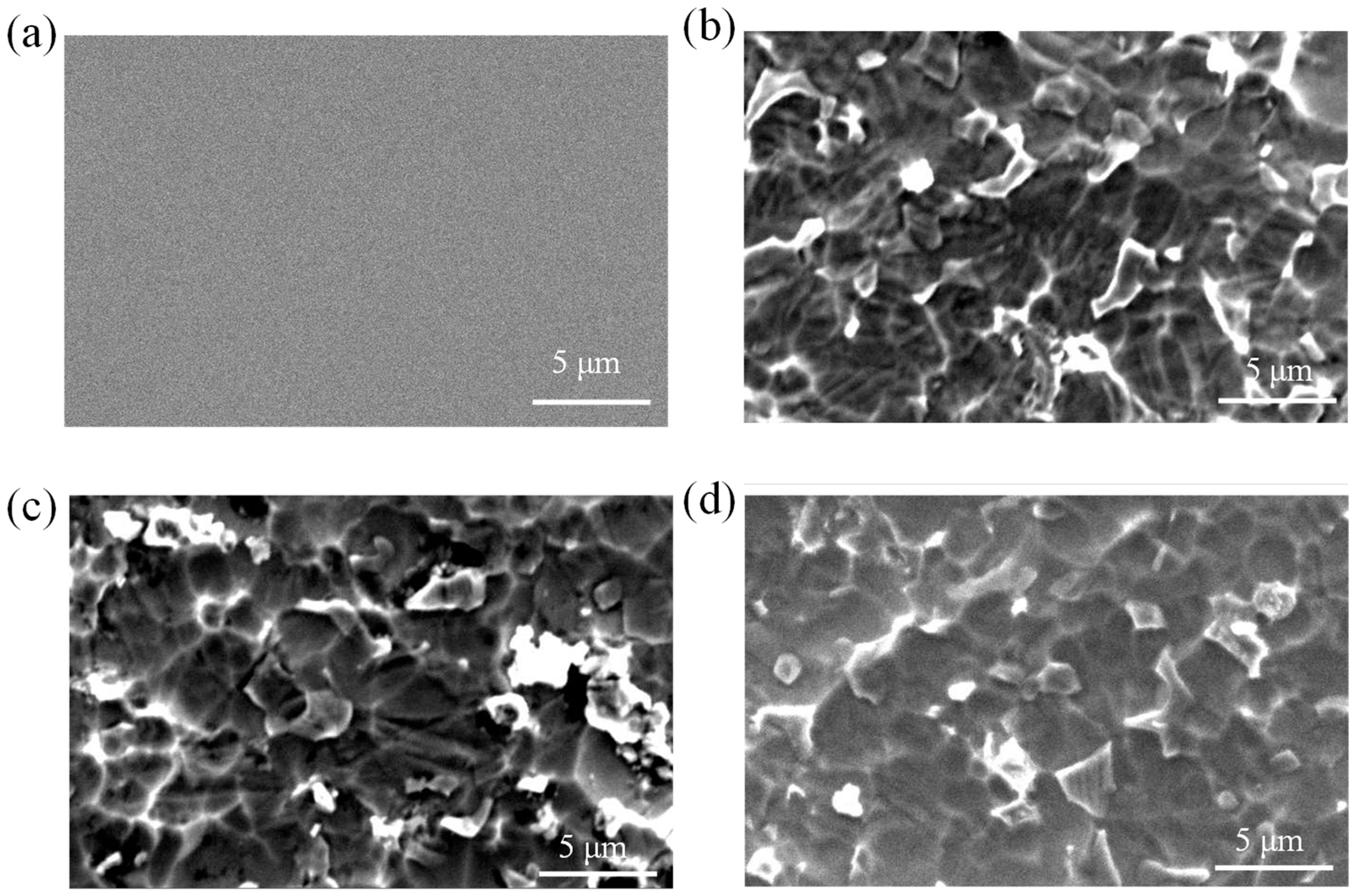 Applsci 14 10904 g004