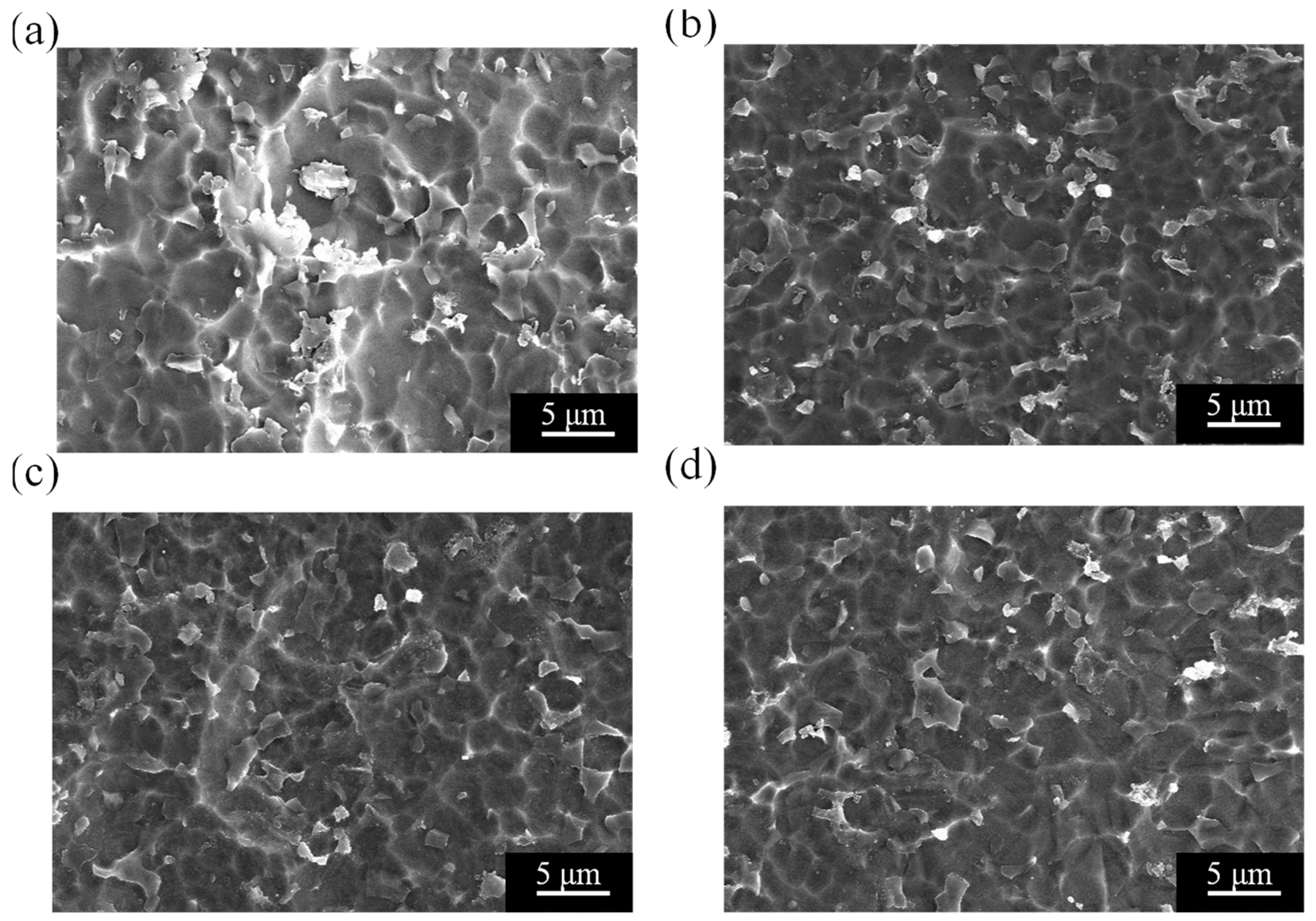 Applsci 14 10904 g005