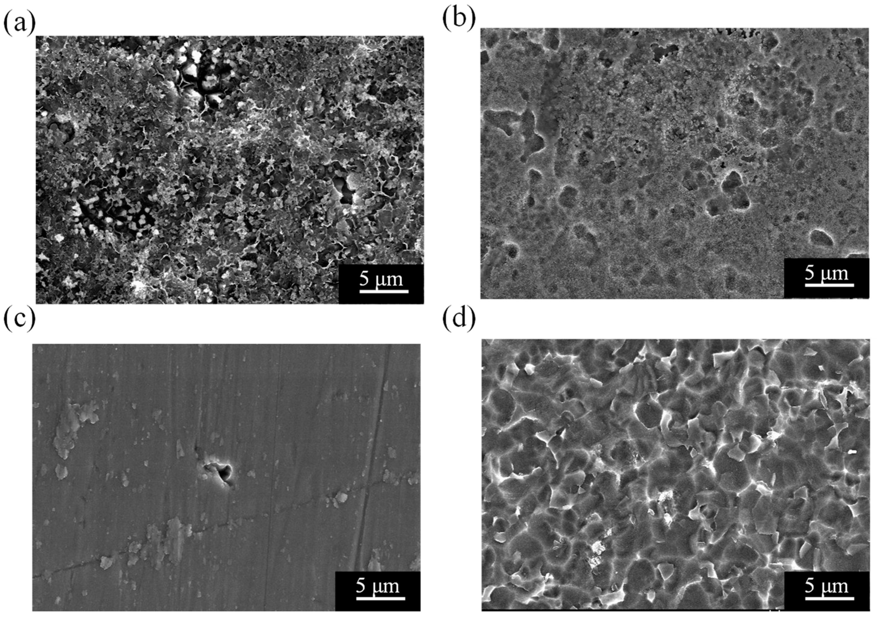 Applsci 14 10904 g009