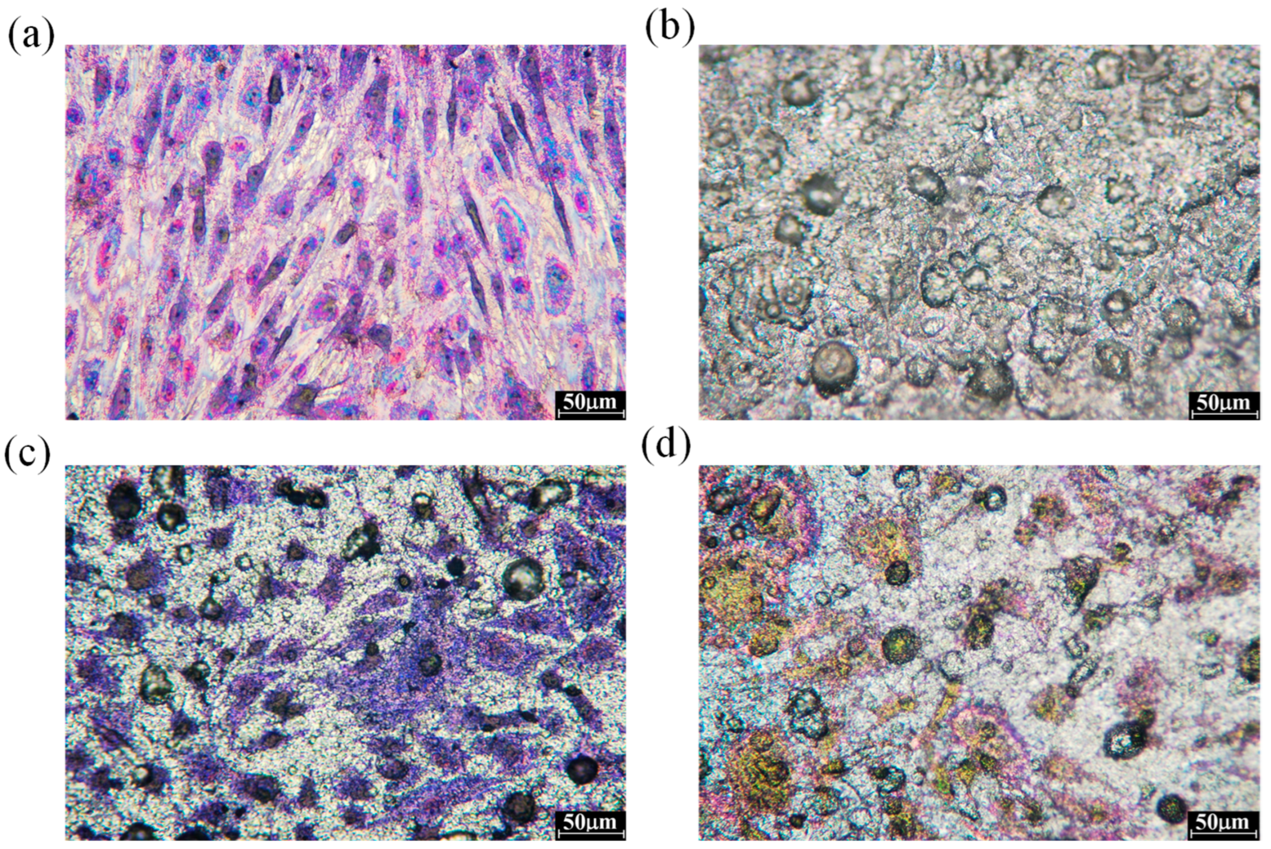 Applsci 14 10904 g011