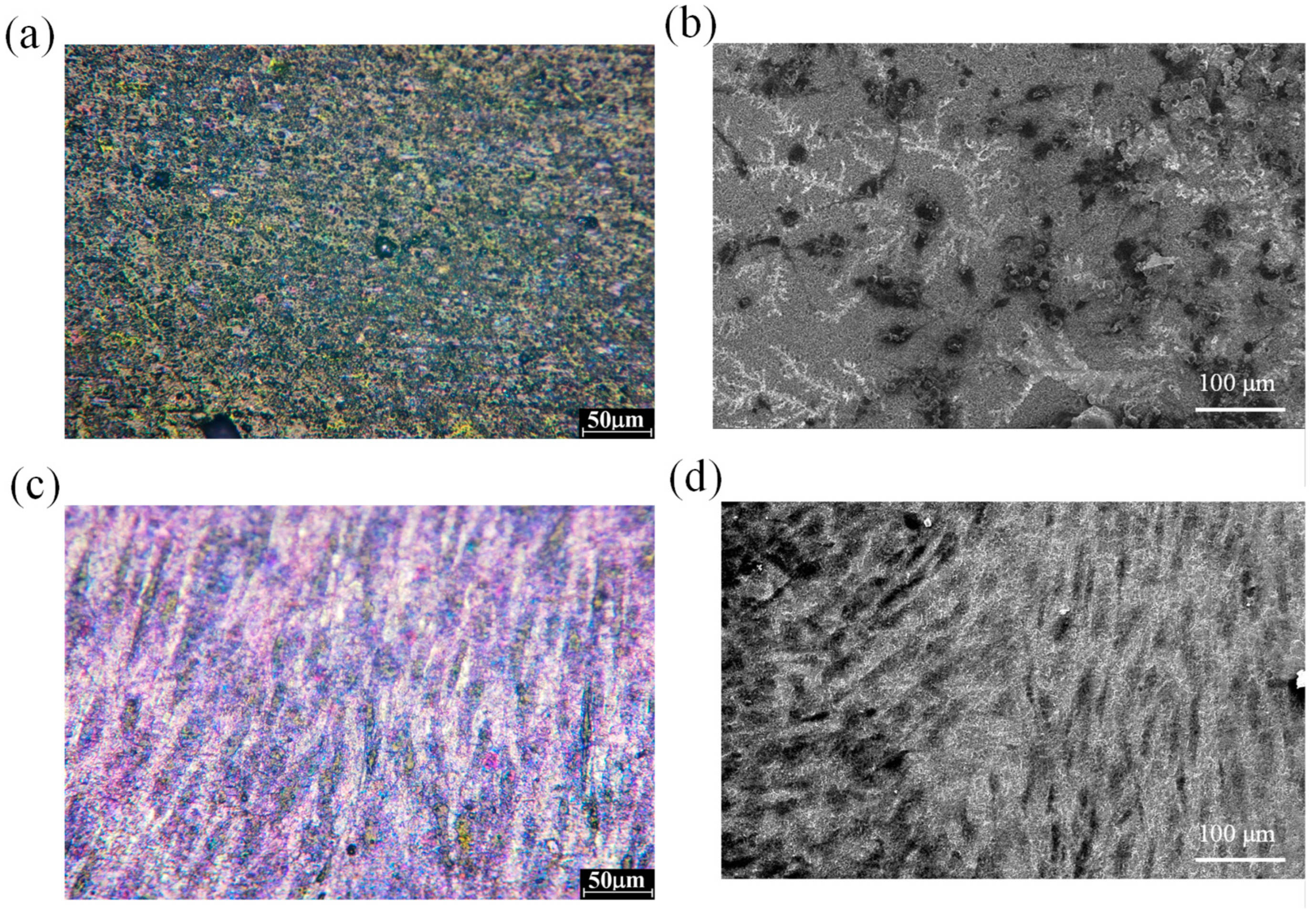 Applsci 14 10904 g012