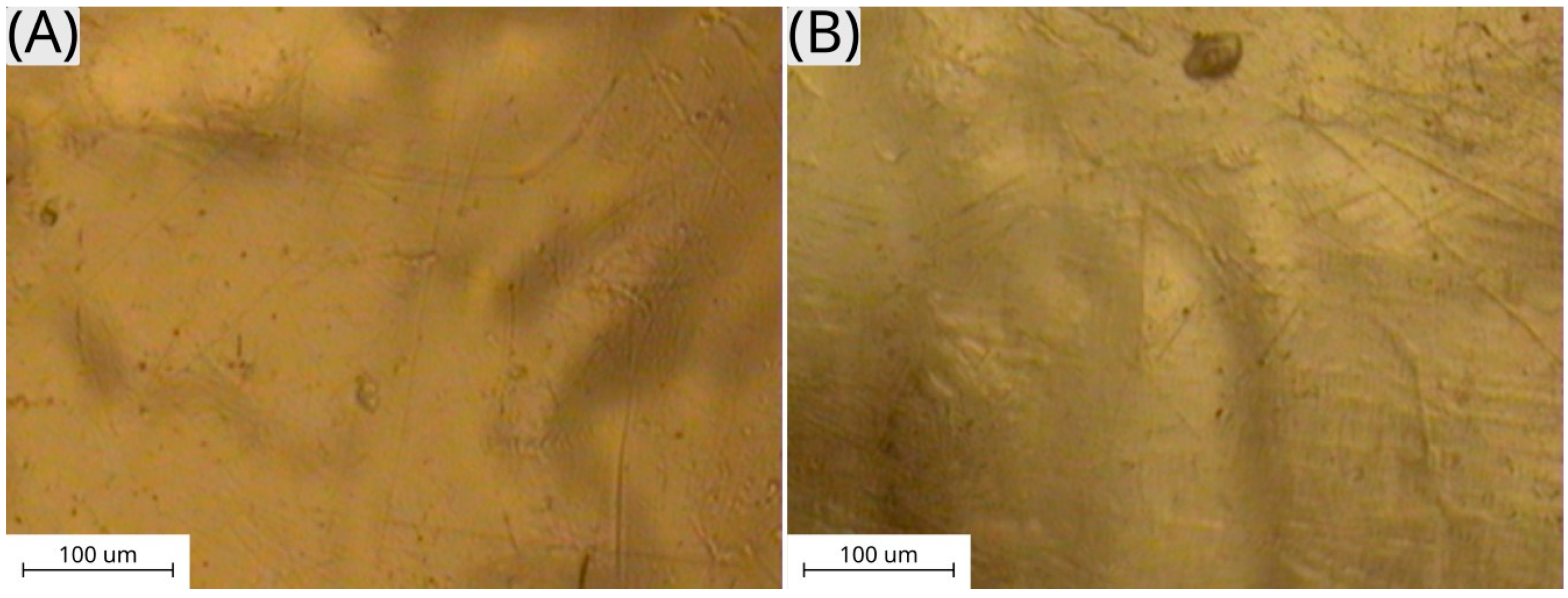 Applsci 14 10907 g001