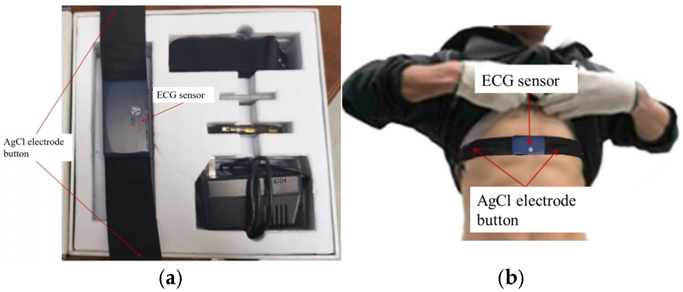 Applsci 14 10928 g004