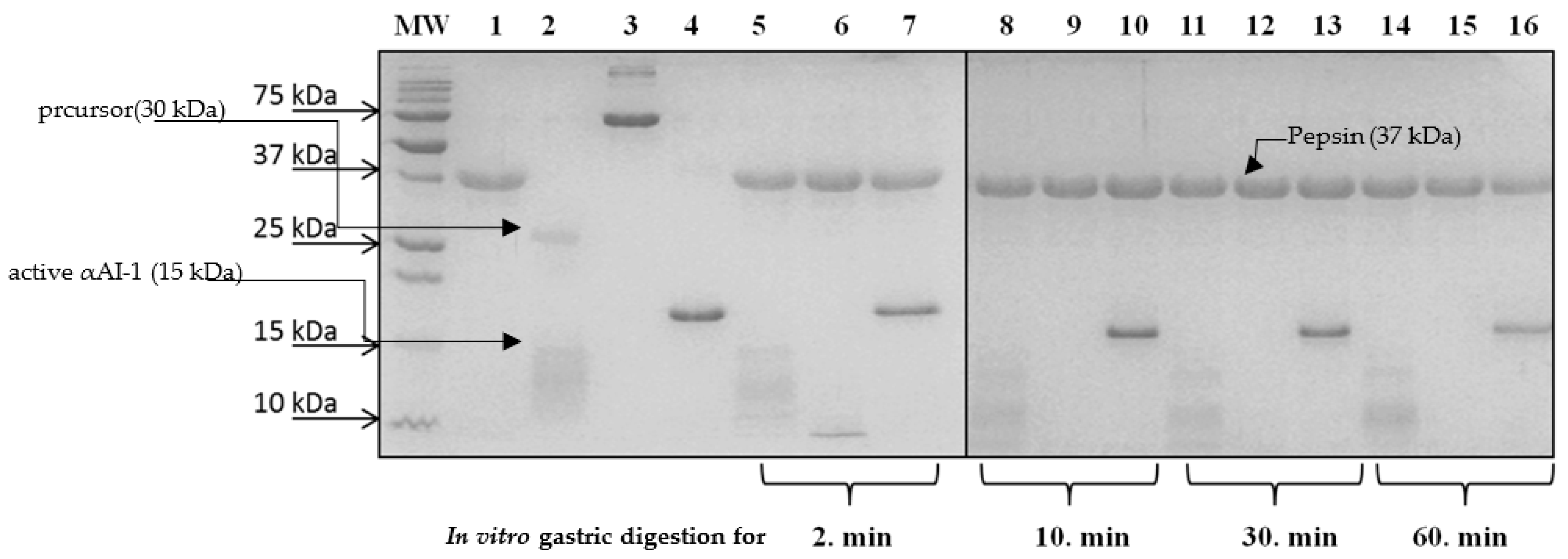 Applsci 14 10935 g002