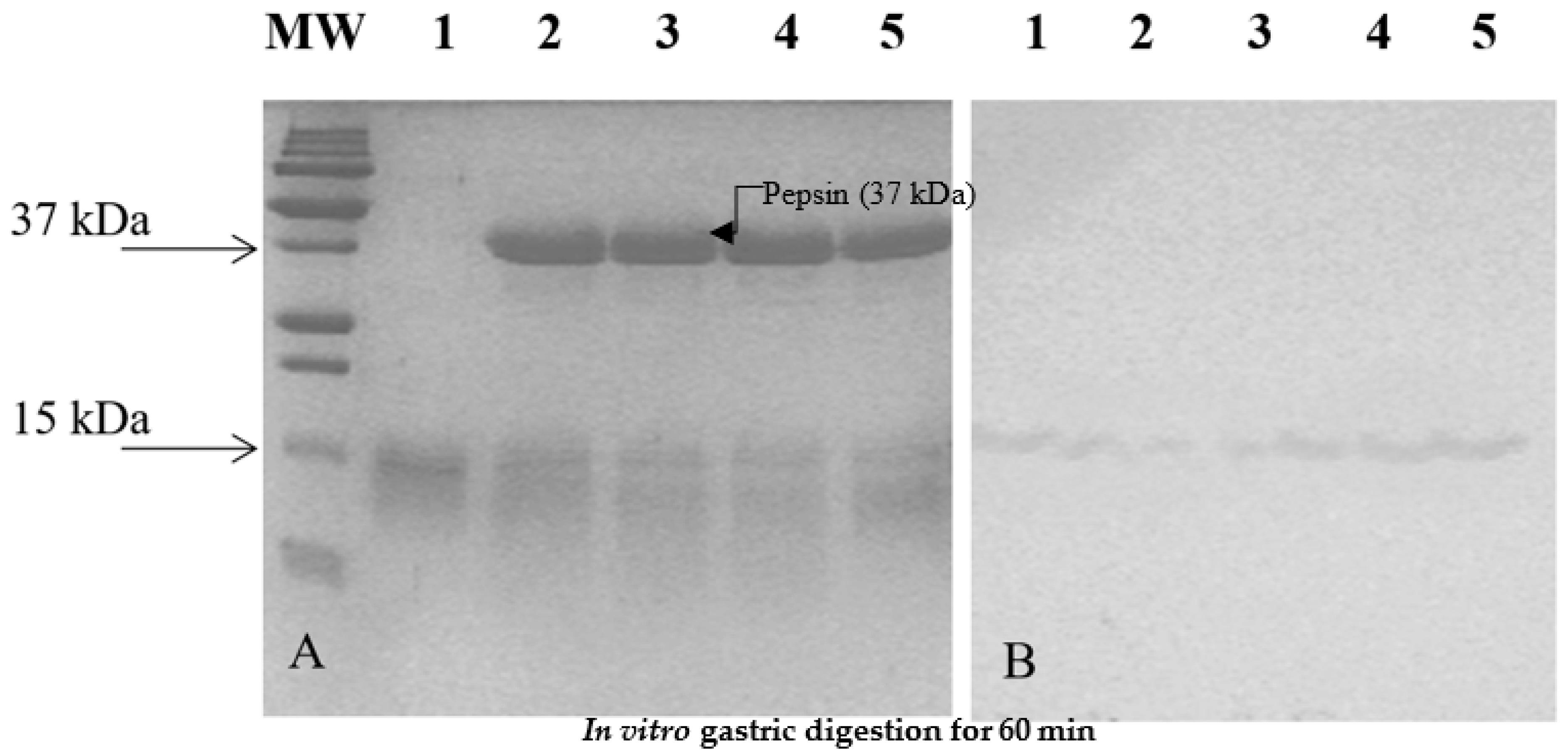 Applsci 14 10935 g003